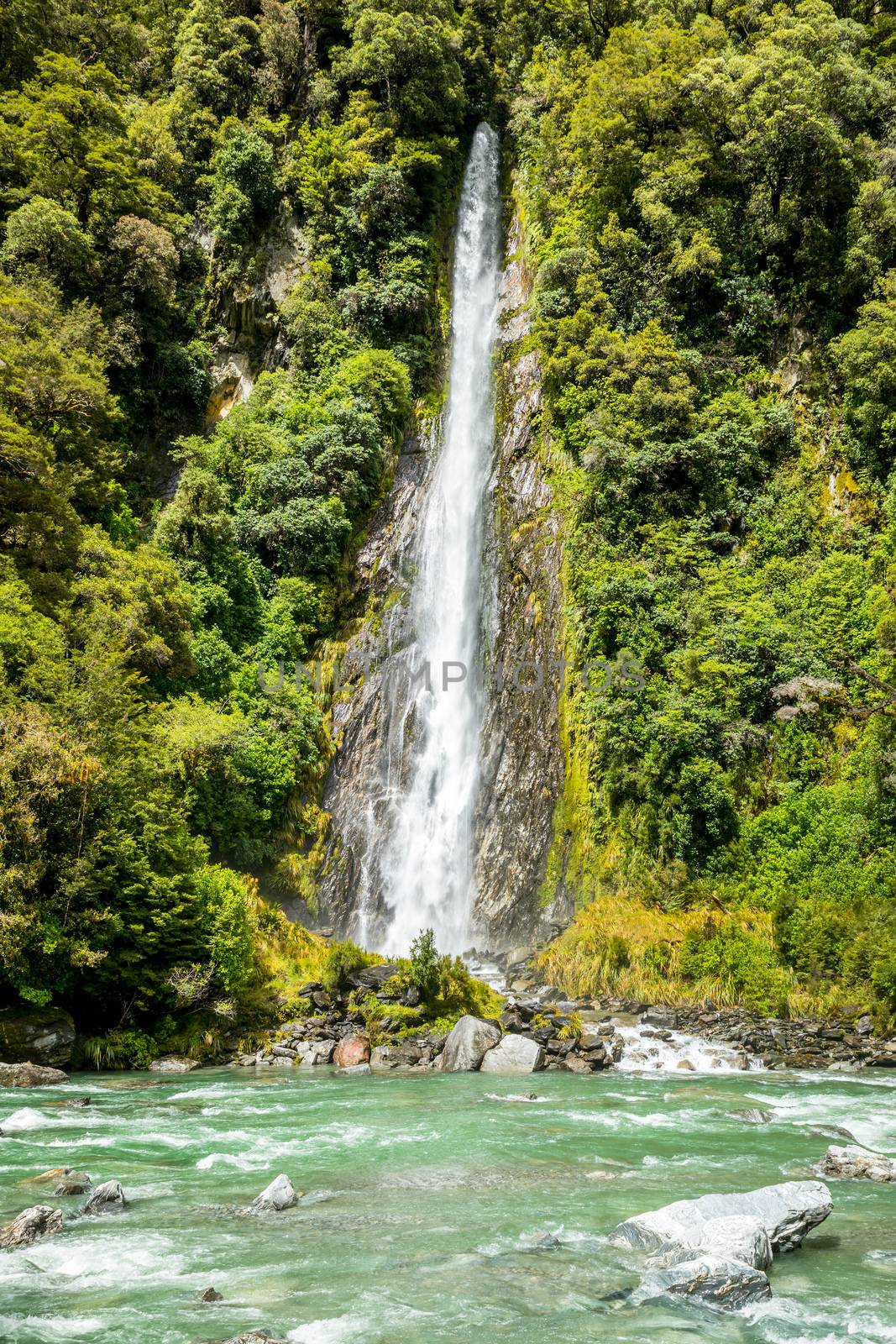 An image of the Thunder Creek Falls, New Zealand