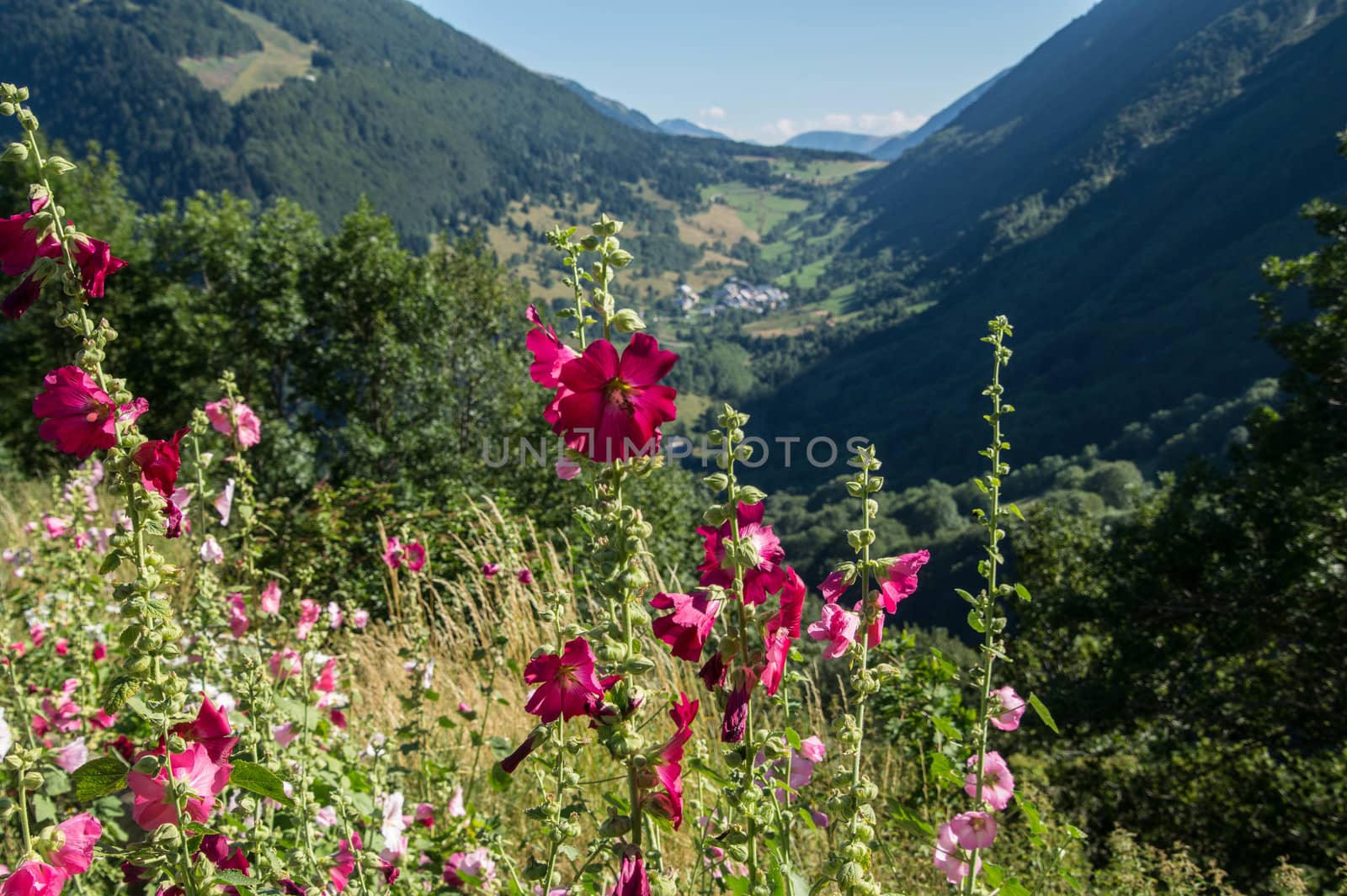 ornon,isere,france
