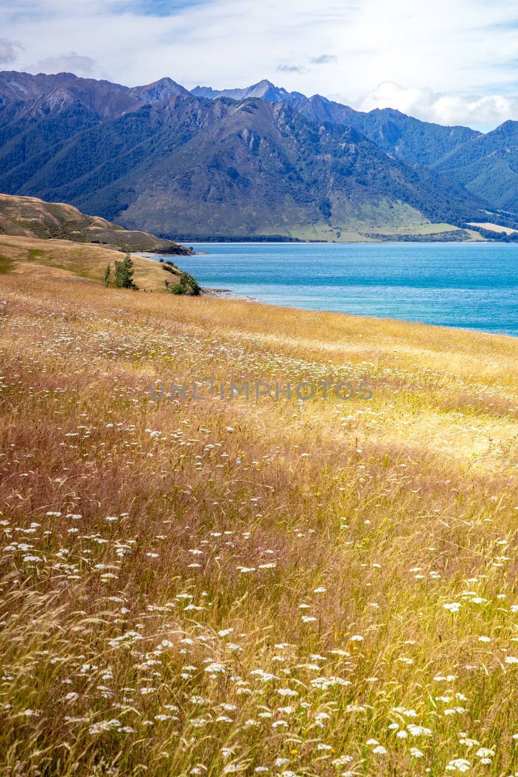 An image of the lake Wanaka; New Zealand south island