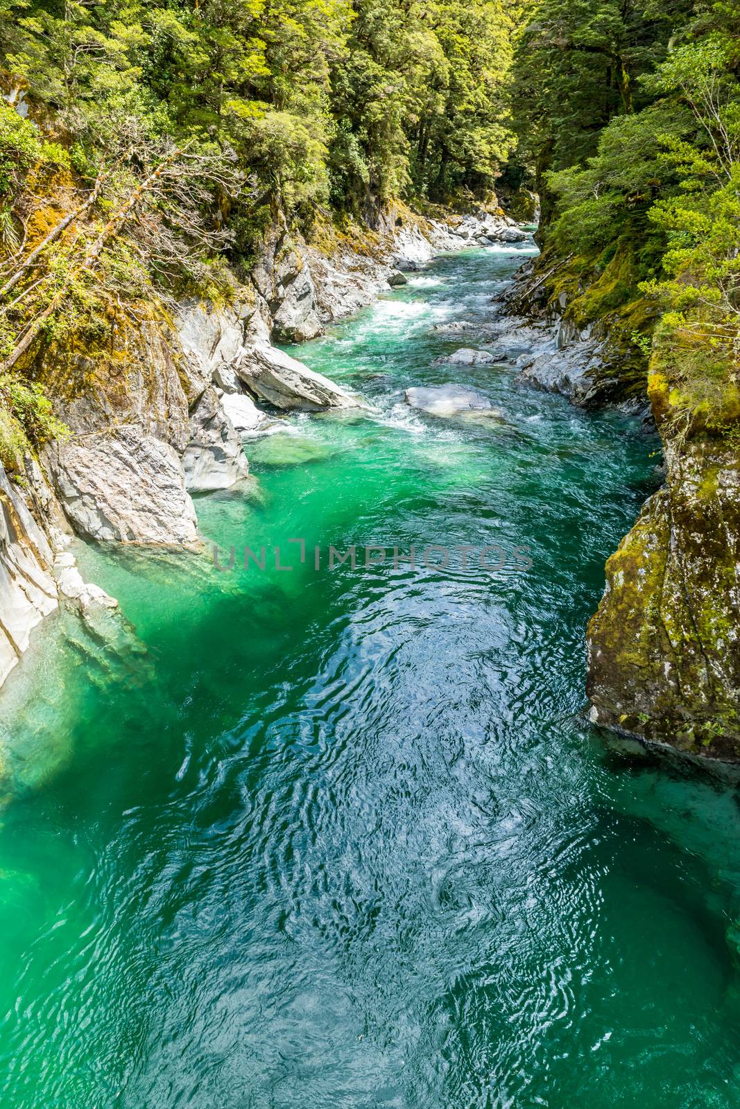 Haast River Landsborough Valley New Zealand by magann