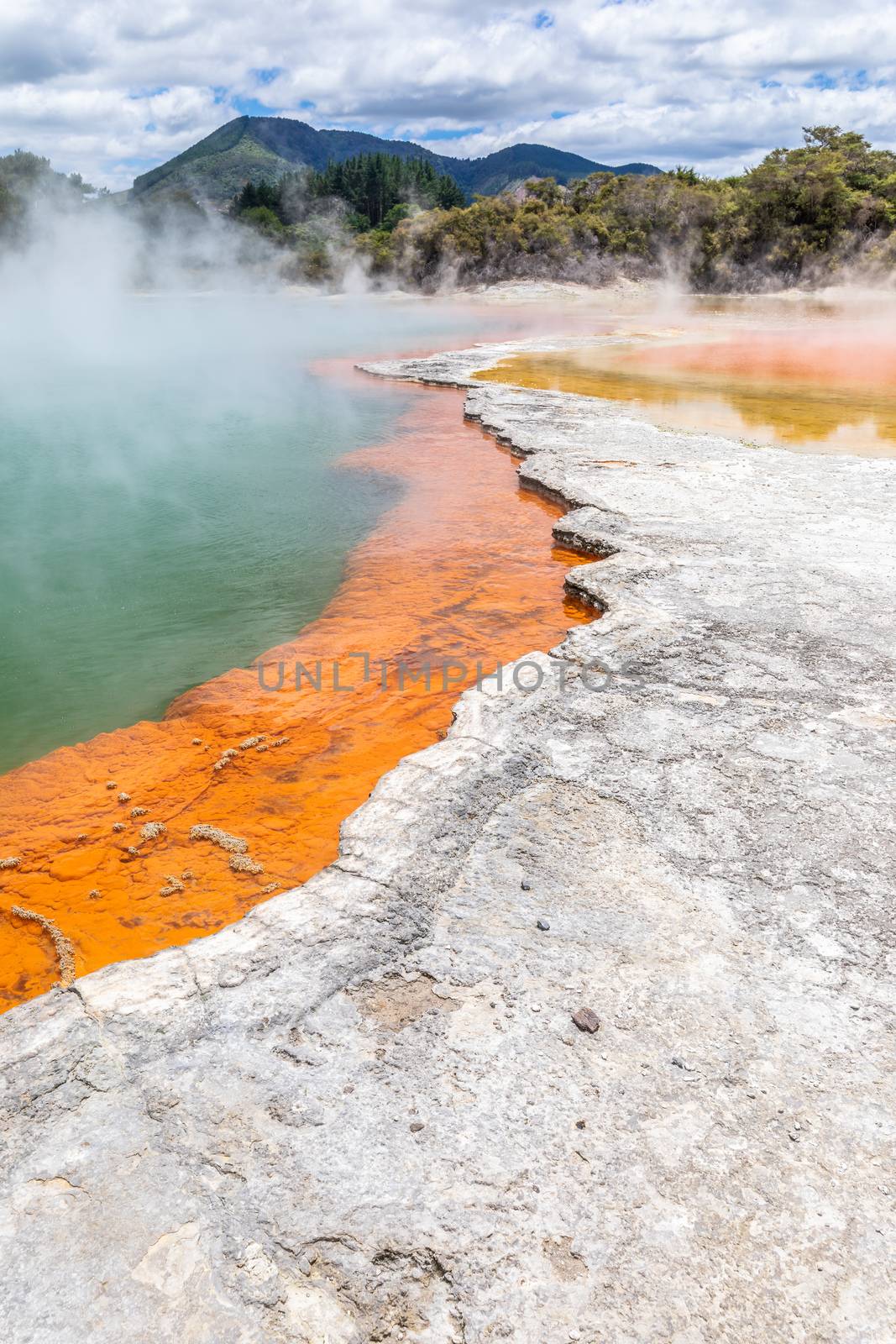 An image of the hot sparkling lake in New Zealand