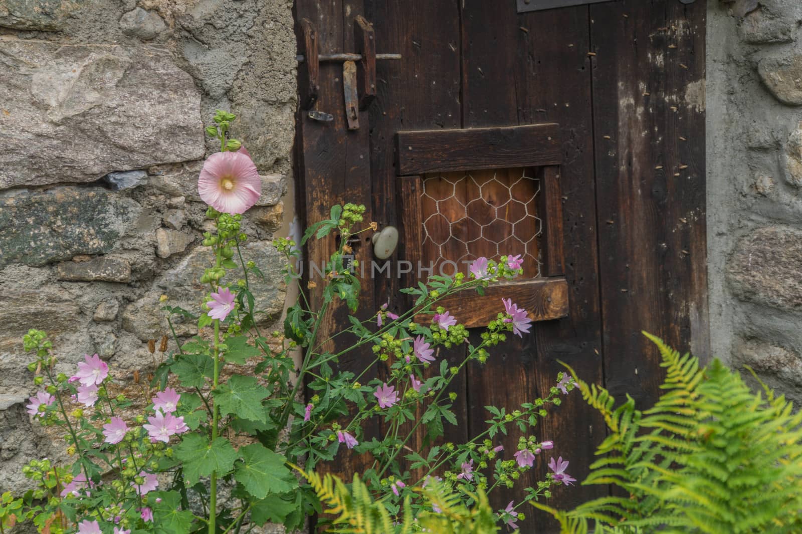 valsenestre,isere,france