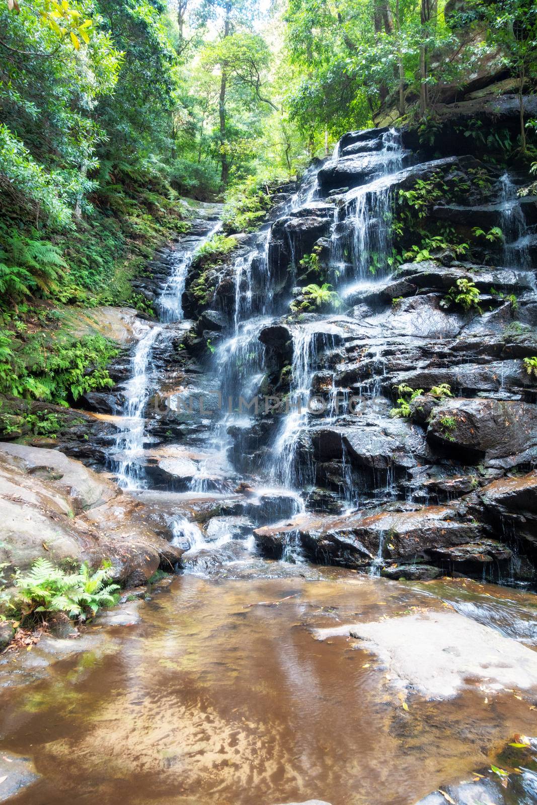 An image of a waterfall at the Blue Mountains Australia