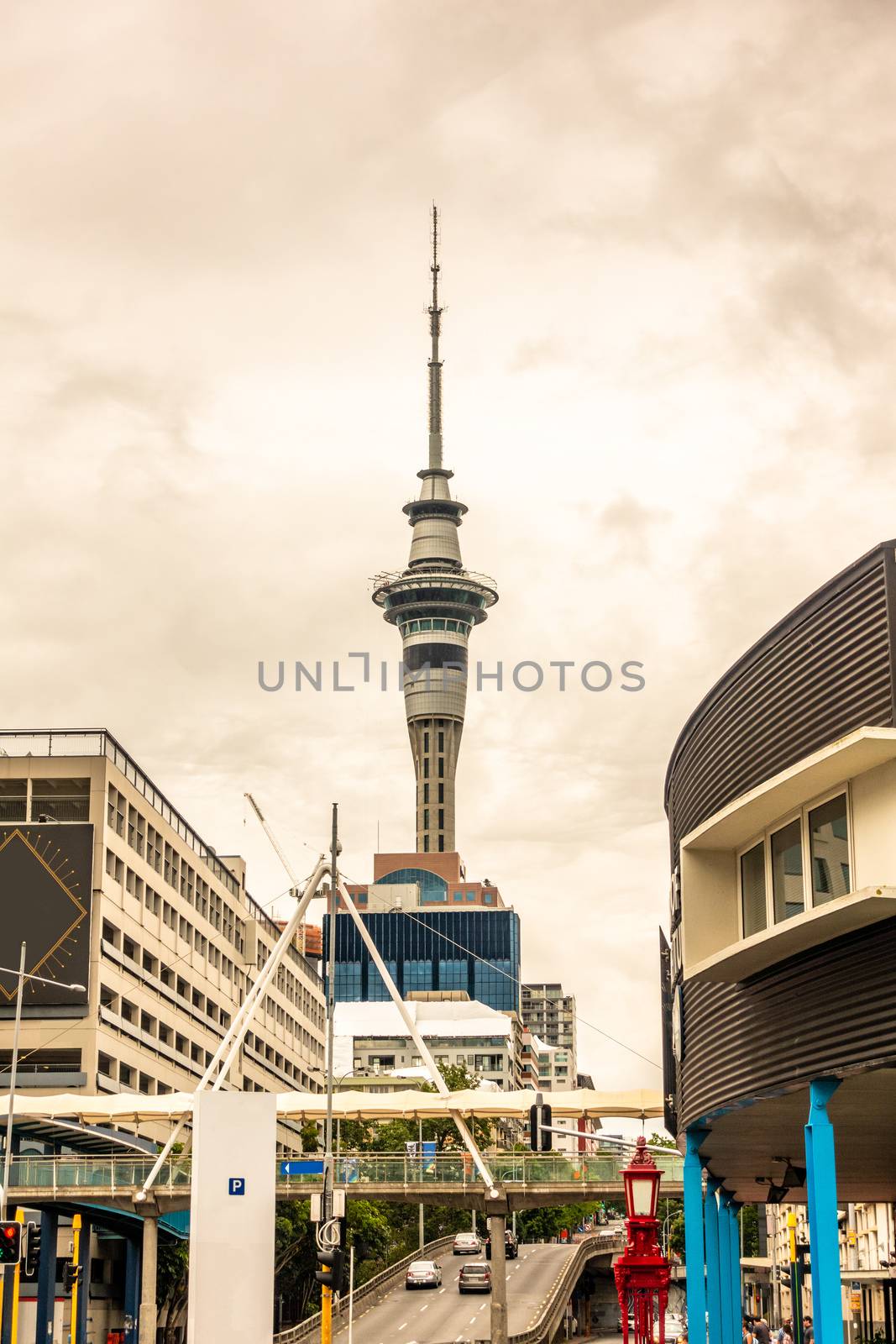 An image of the tower at Auckland New Zealand
