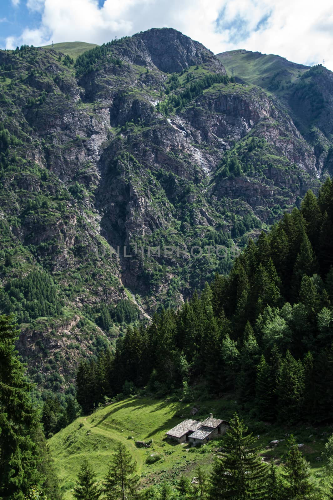 synernoire,parc grand paradis,val d'aoste,italy