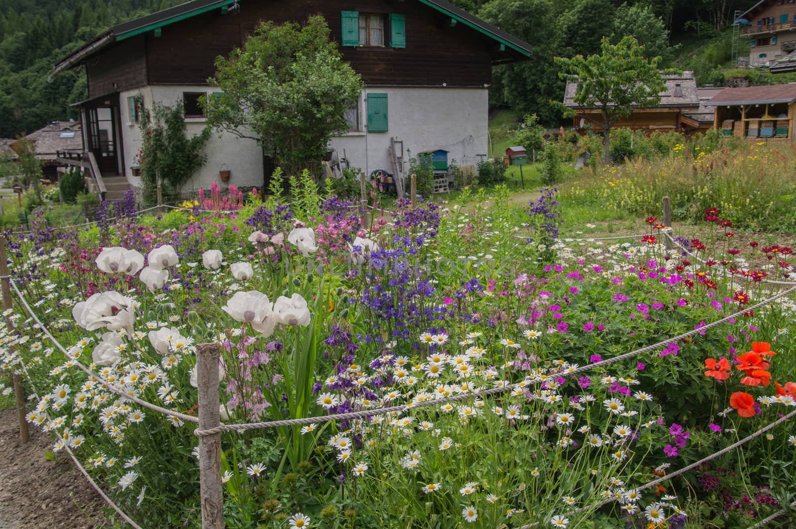 montroc,chamonix,haute savoie,france