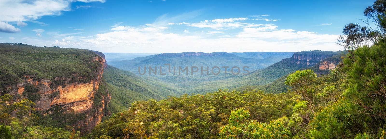 An image of the Blue Mountains Australia panorama