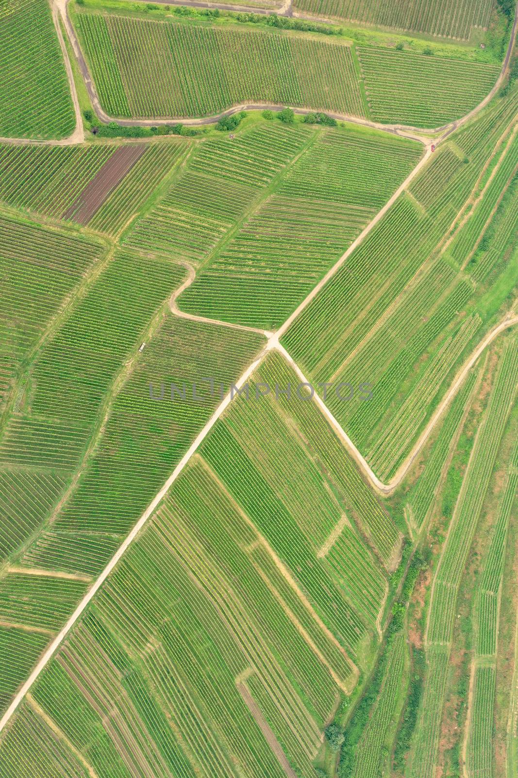 An image of an aerial view vineyard scenery at Kaiserstuhl Germany