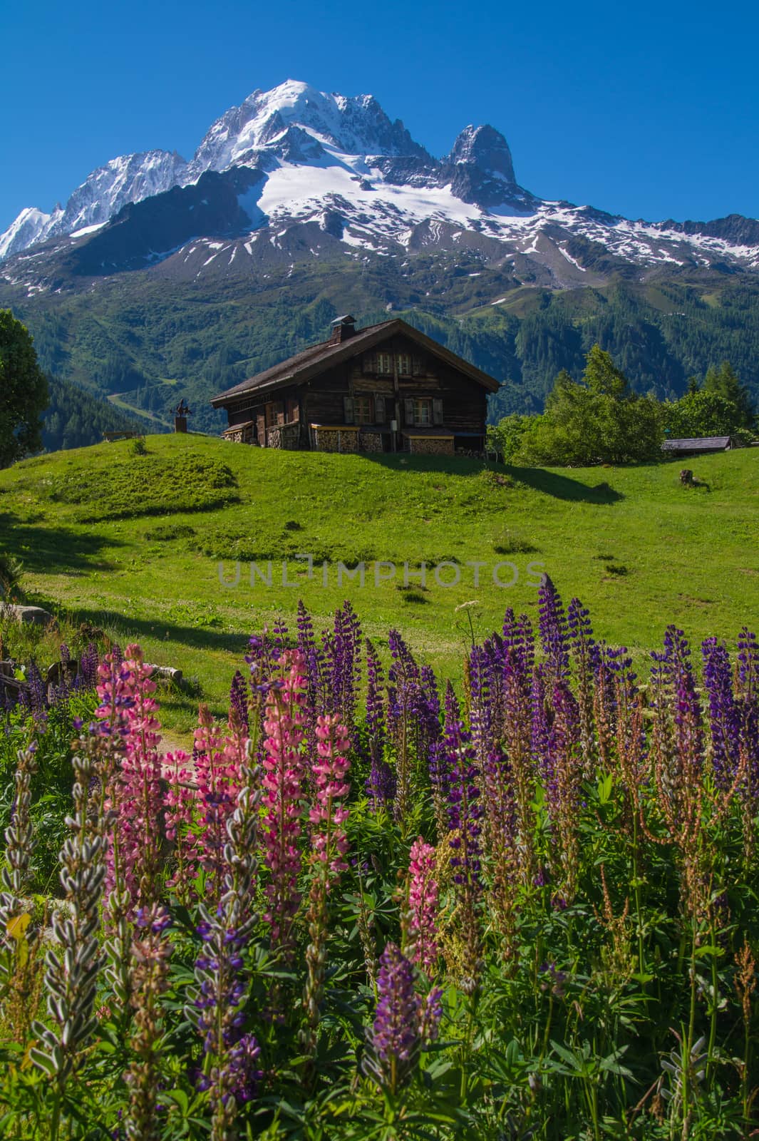 trelechamp,chamonix,haute savoie,france