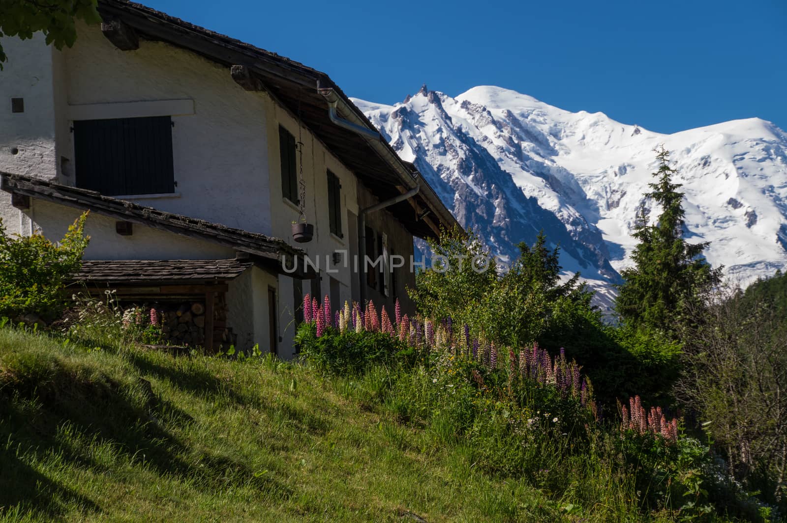 trelechamp,chamonix,haute savoie,france