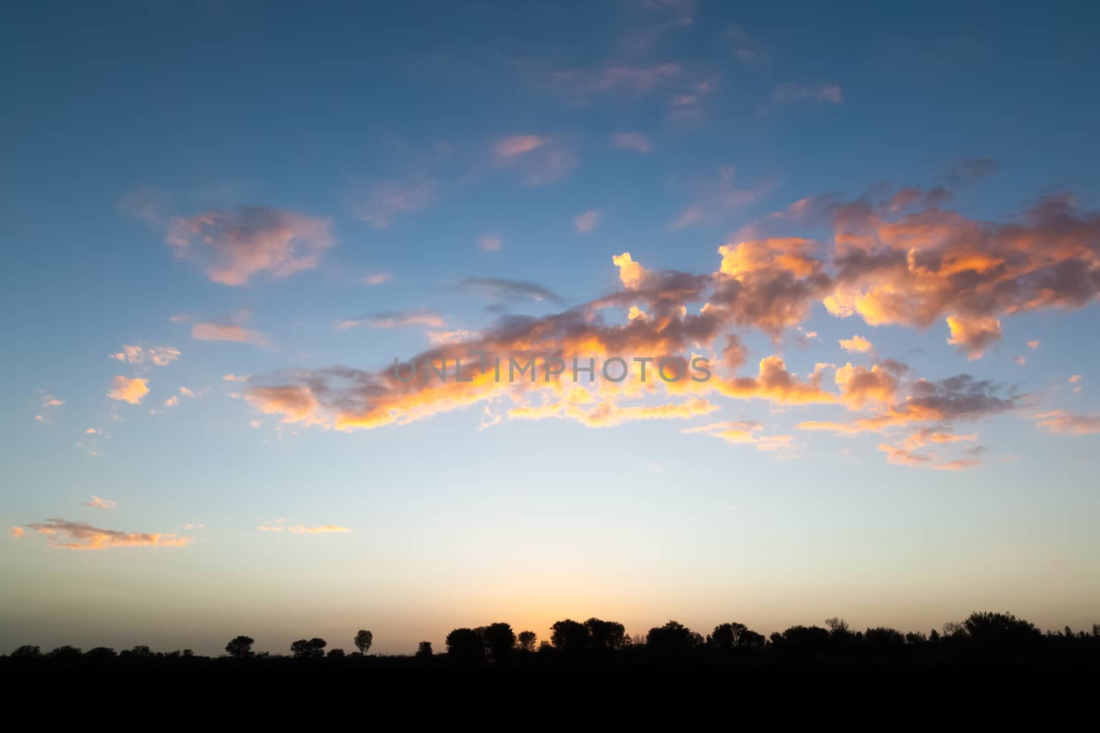 An image of a landscape scenery of the Australia outback