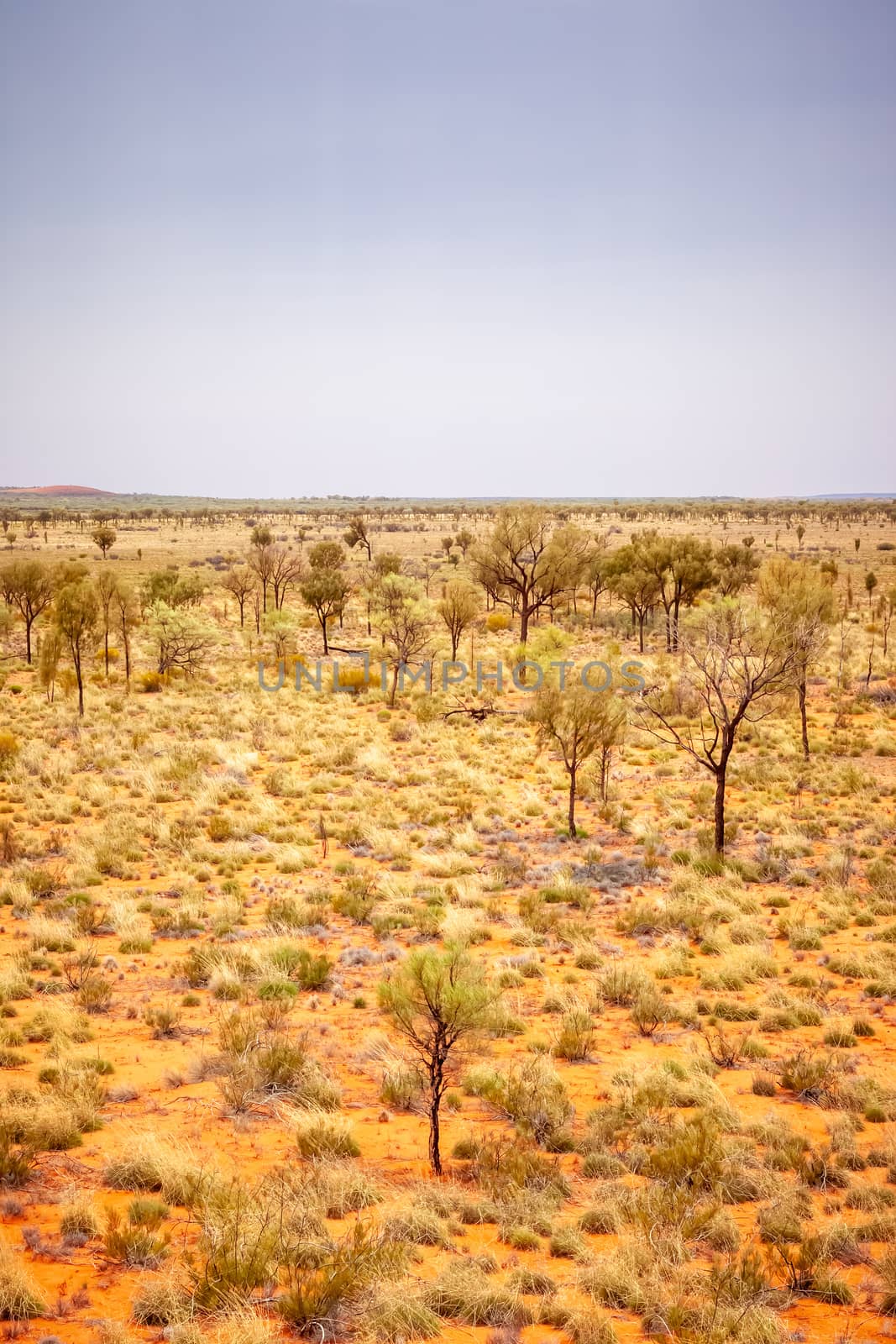 landscape scenery of the Australia outback by magann