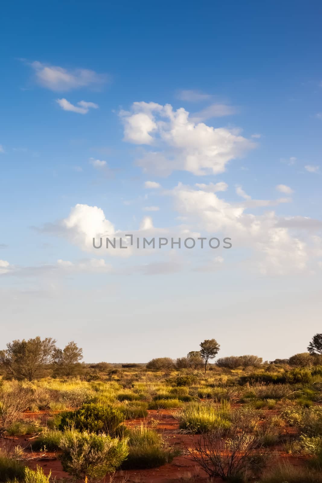 landscape scenery of the Australia outback by magann