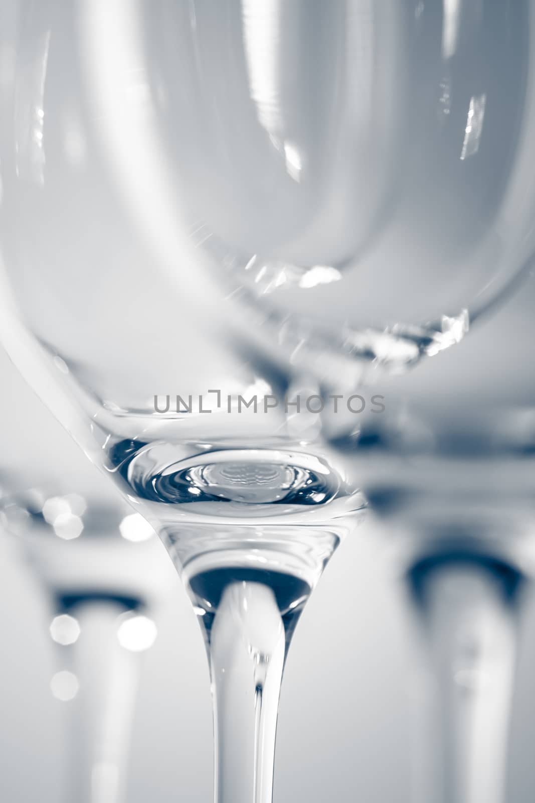 wineglass detail black and white by magann