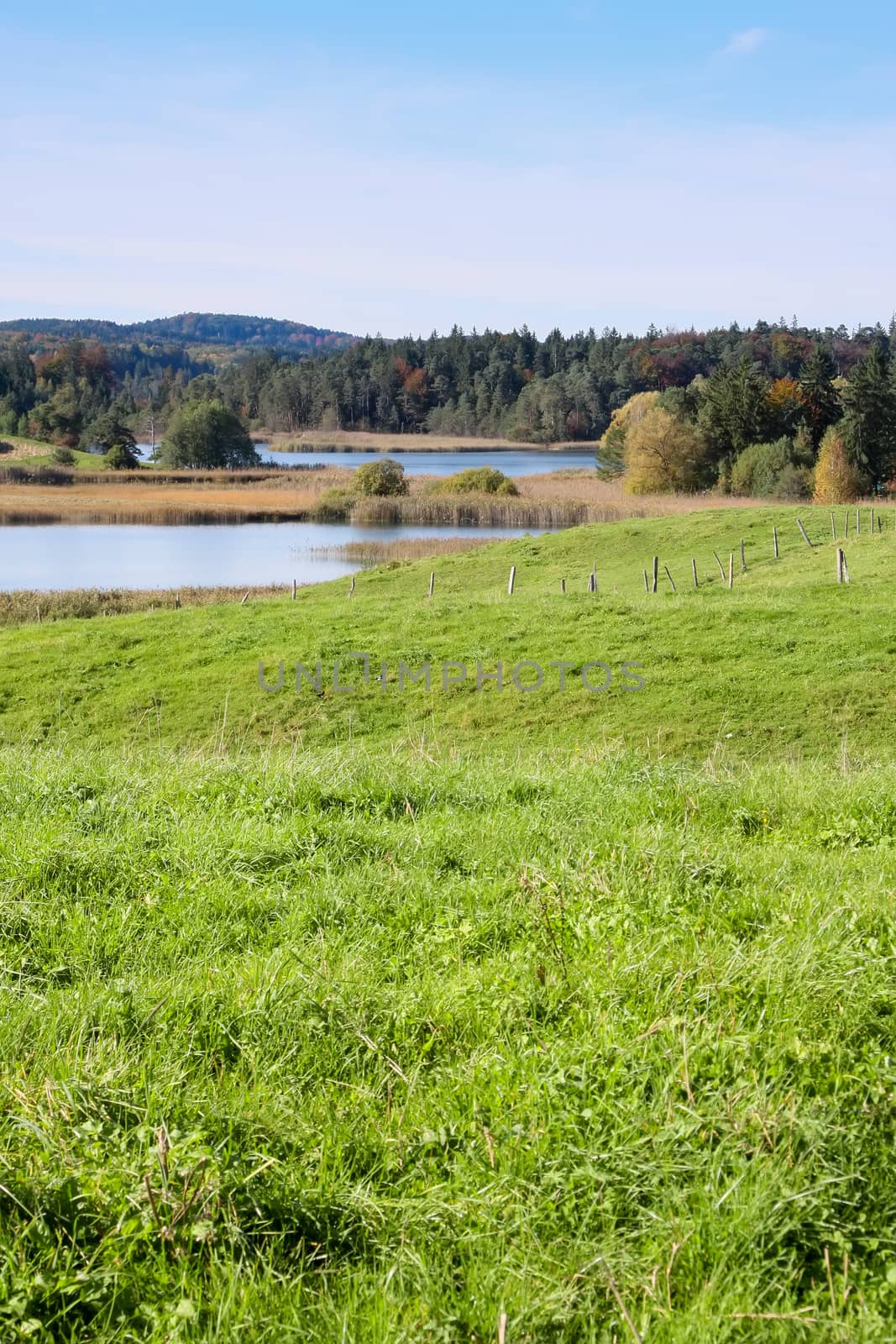 An image of a nice and typical Osterseen in Bavarian