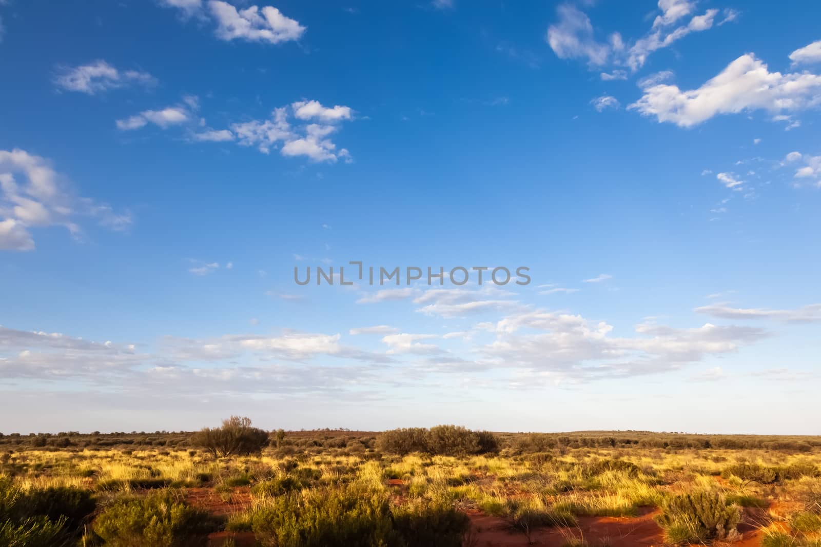 An image of a landscape scenery of the Australia outback