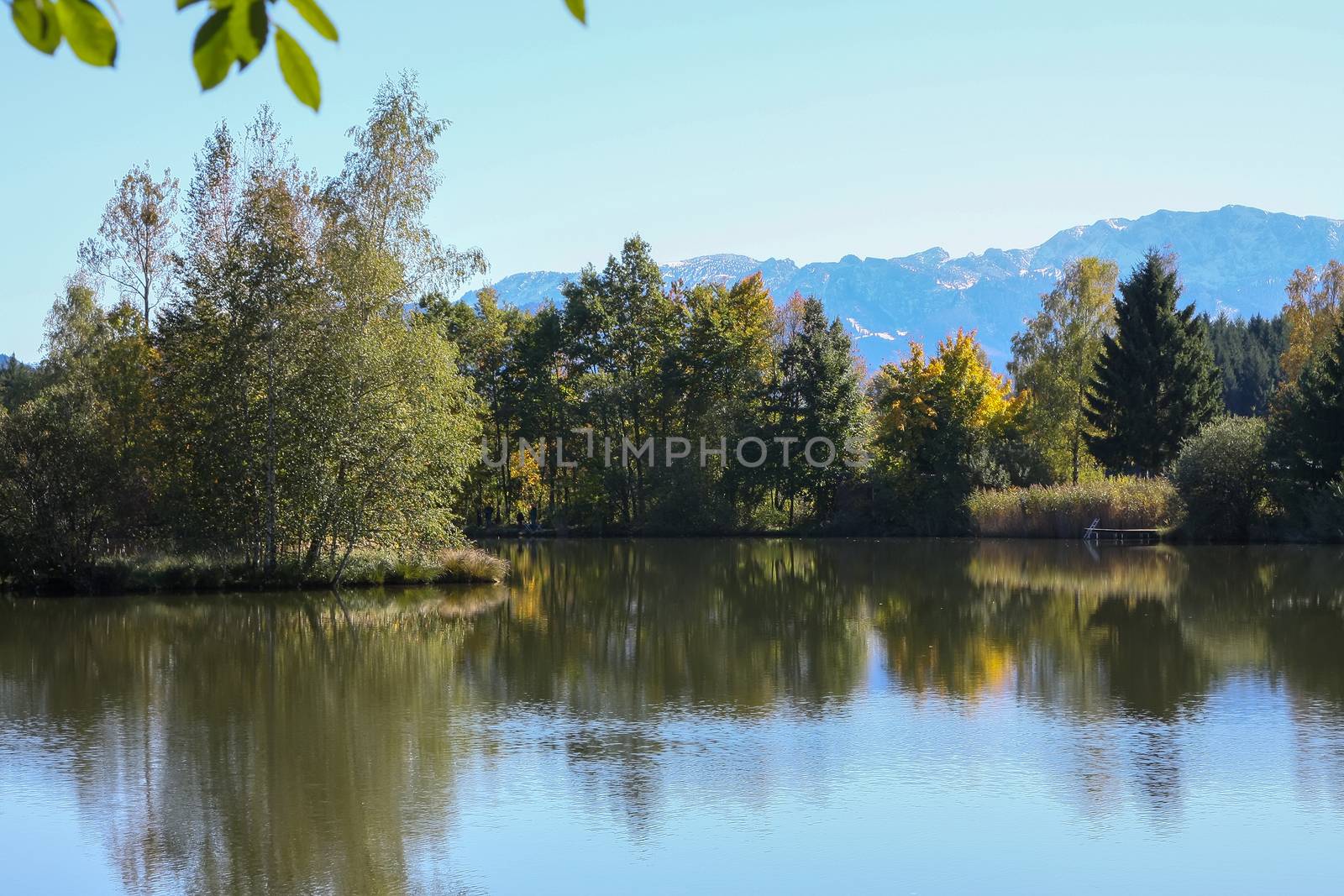 A photography of a lake and autumn trees