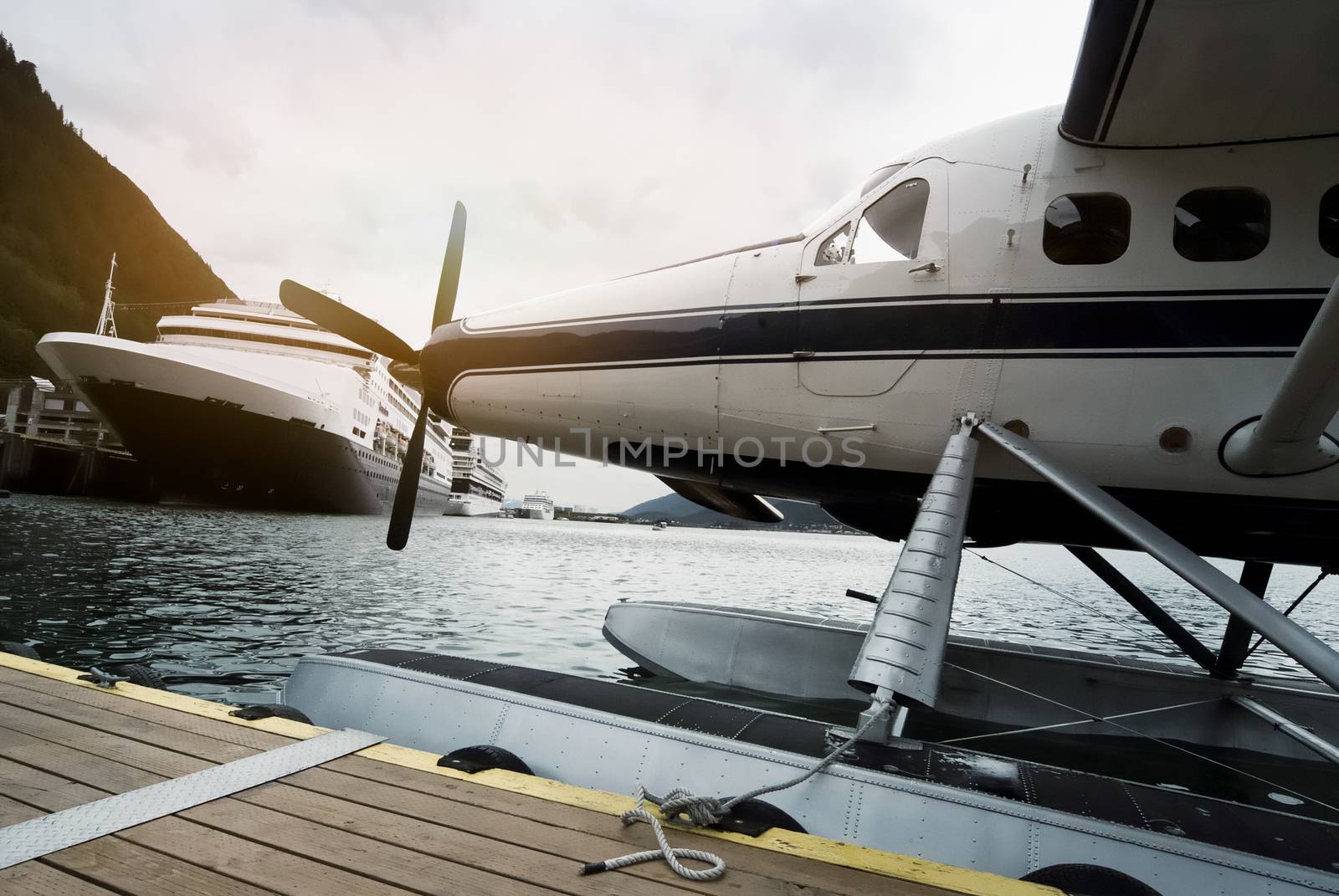 Seaplane And Cruise Ships Docked Along The Pier In Juneau, Alaska by dani3315