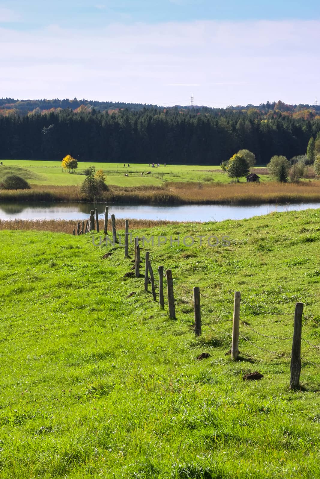 An image of a nice and typical Osterseen in Bavarian