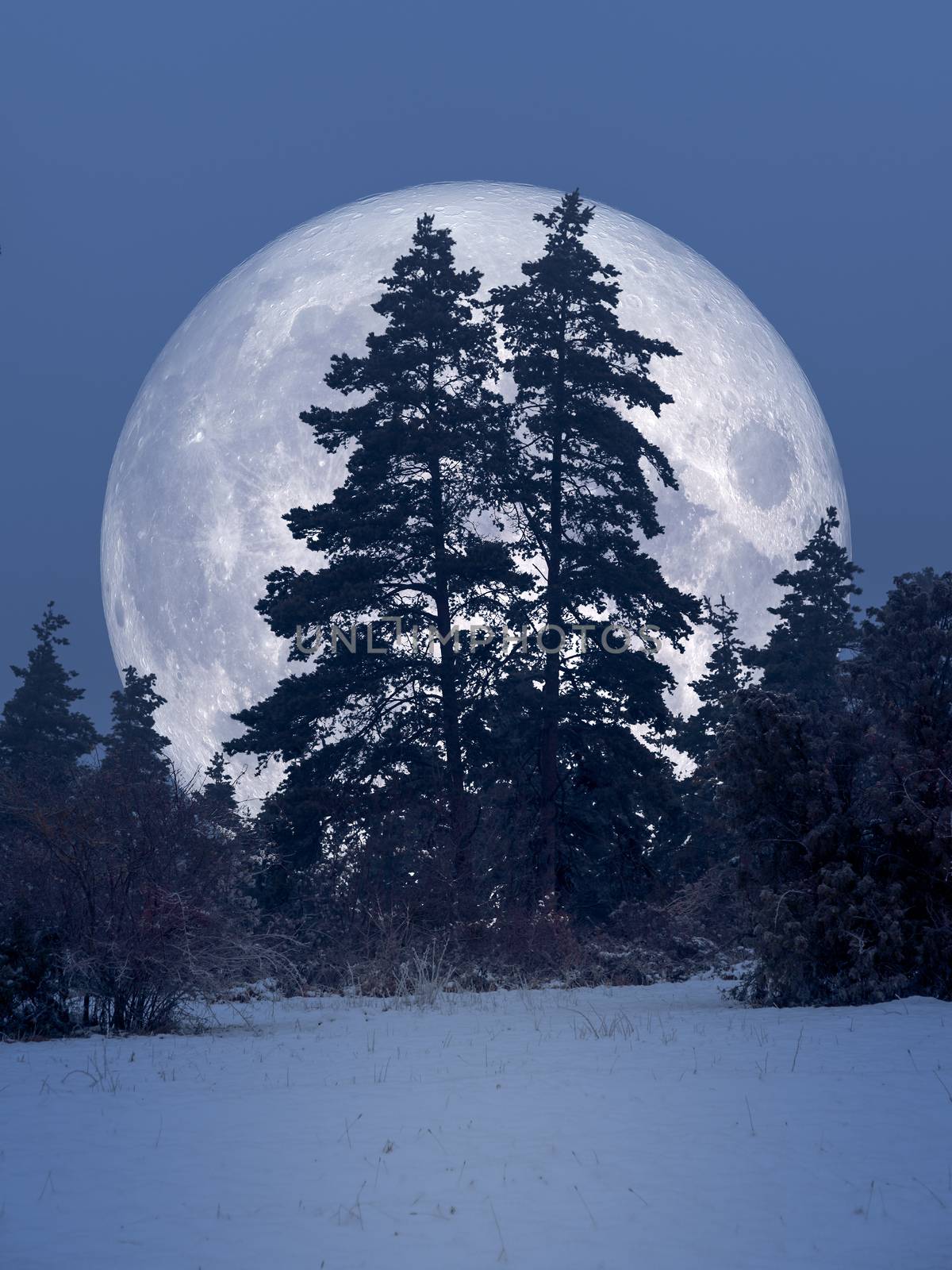 An image of a winter scenery night with full moon
