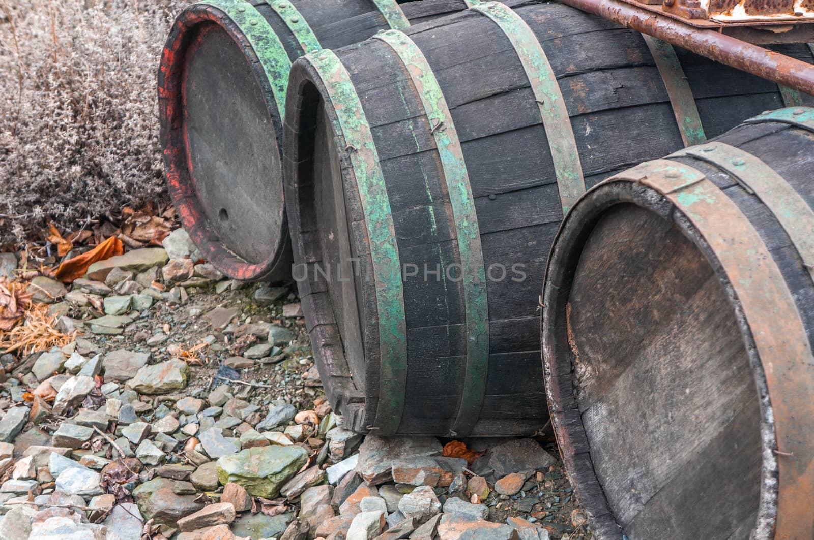 Three vintage wine caskets with peeling green paint on rusted brass laying on the ground. Gloomy cold fall colours in daylight. Shot at St. Claire's vineyard, Prague.