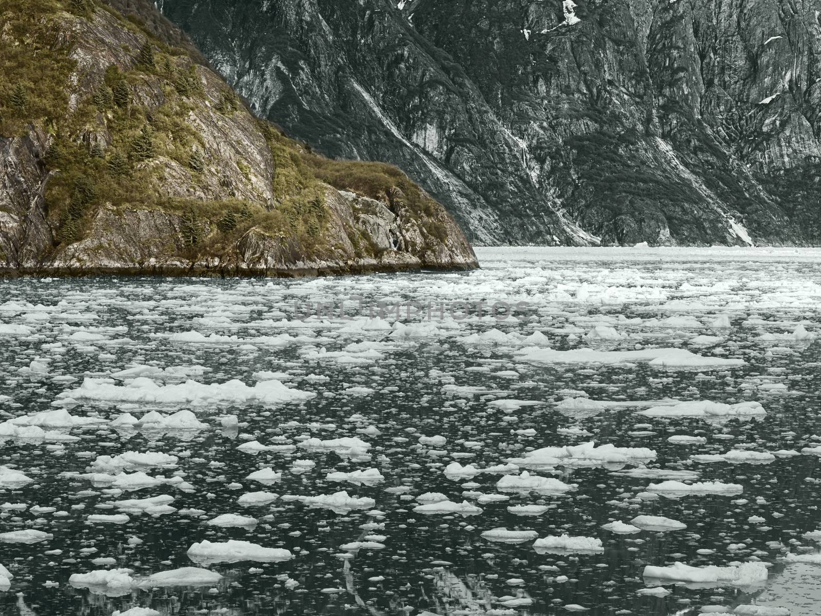 Glacier Bay National Park, Alaska, USA by dani3315