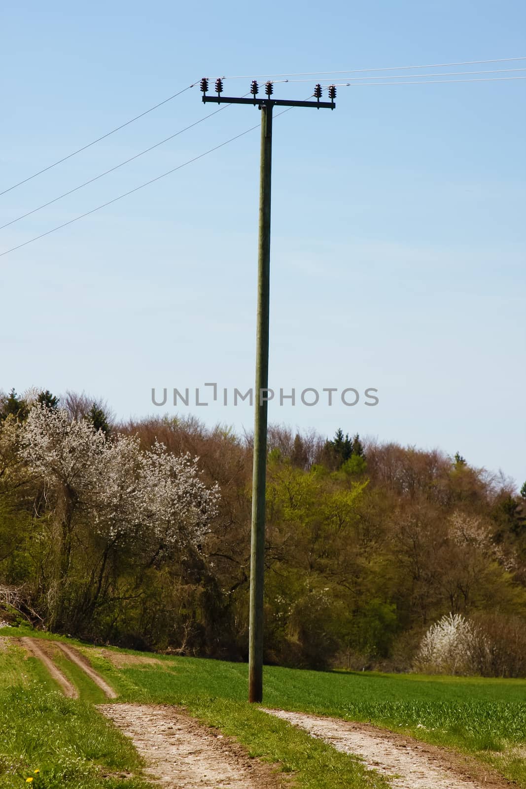 An image of an old wooden power pole