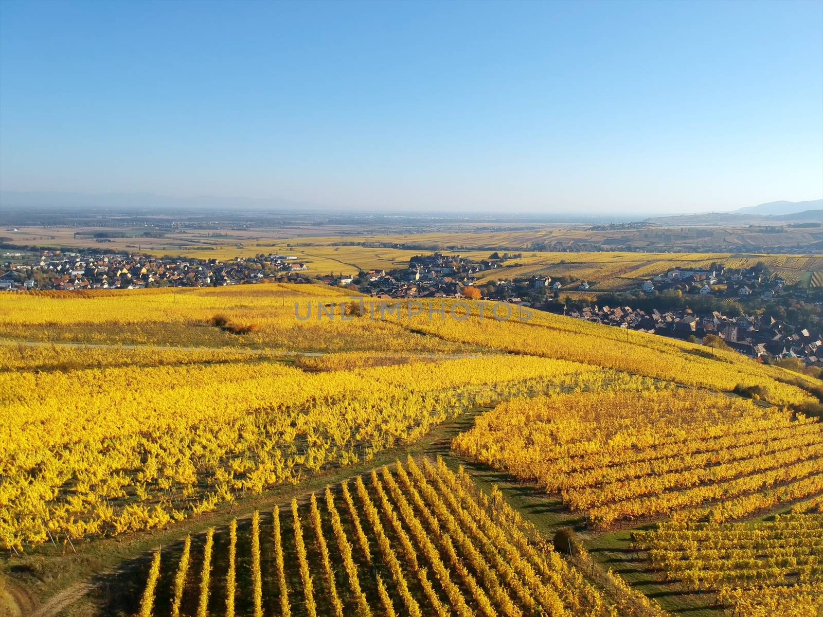 flight over vineyard Alsace France by magann