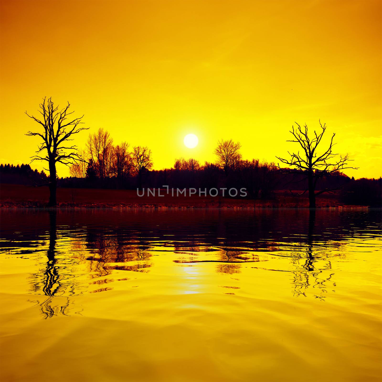 An image of a sunset scenery lake and trees