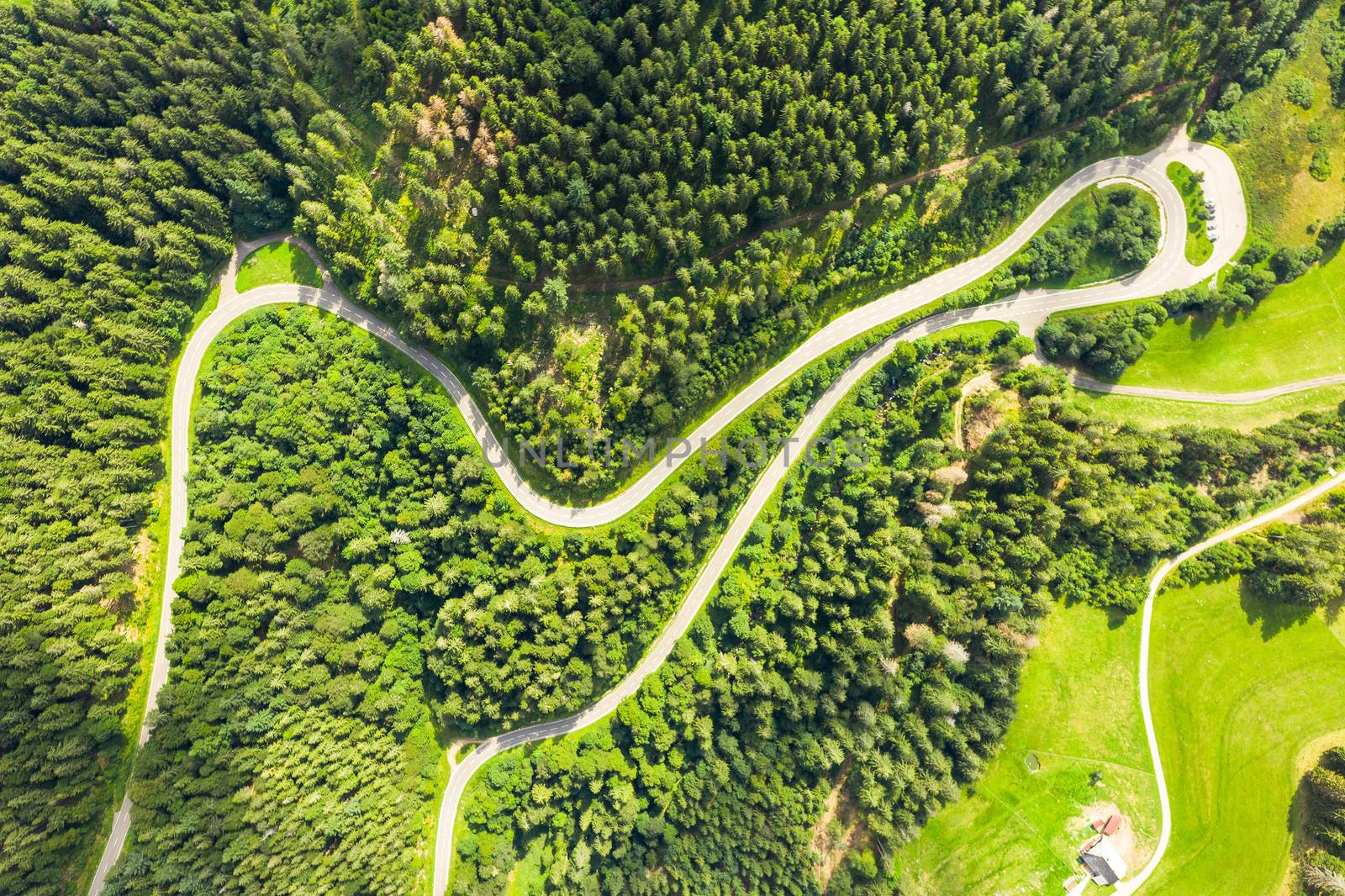 winding road in the black forest area germany by magann