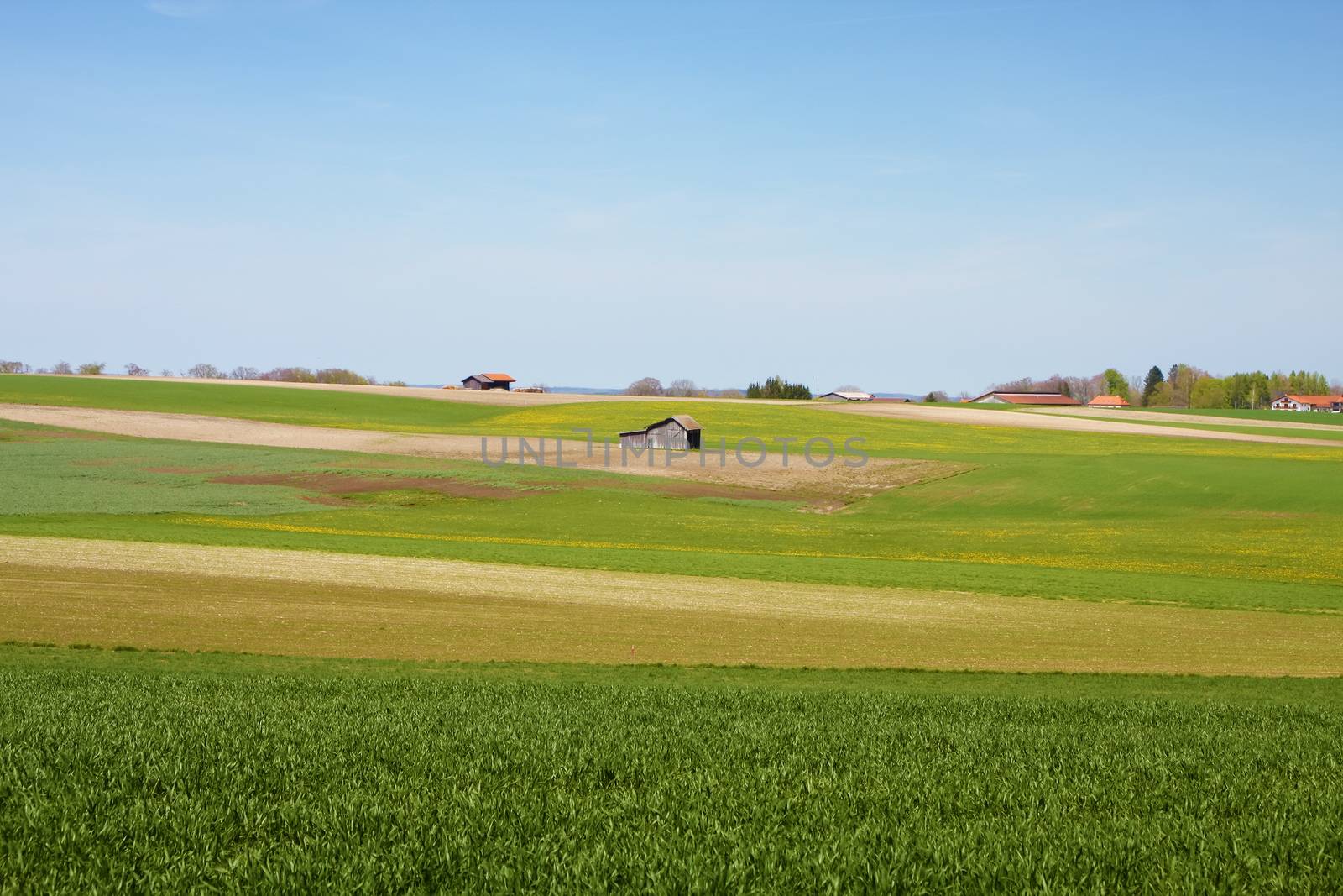 An image of a bavarian landscape scenery