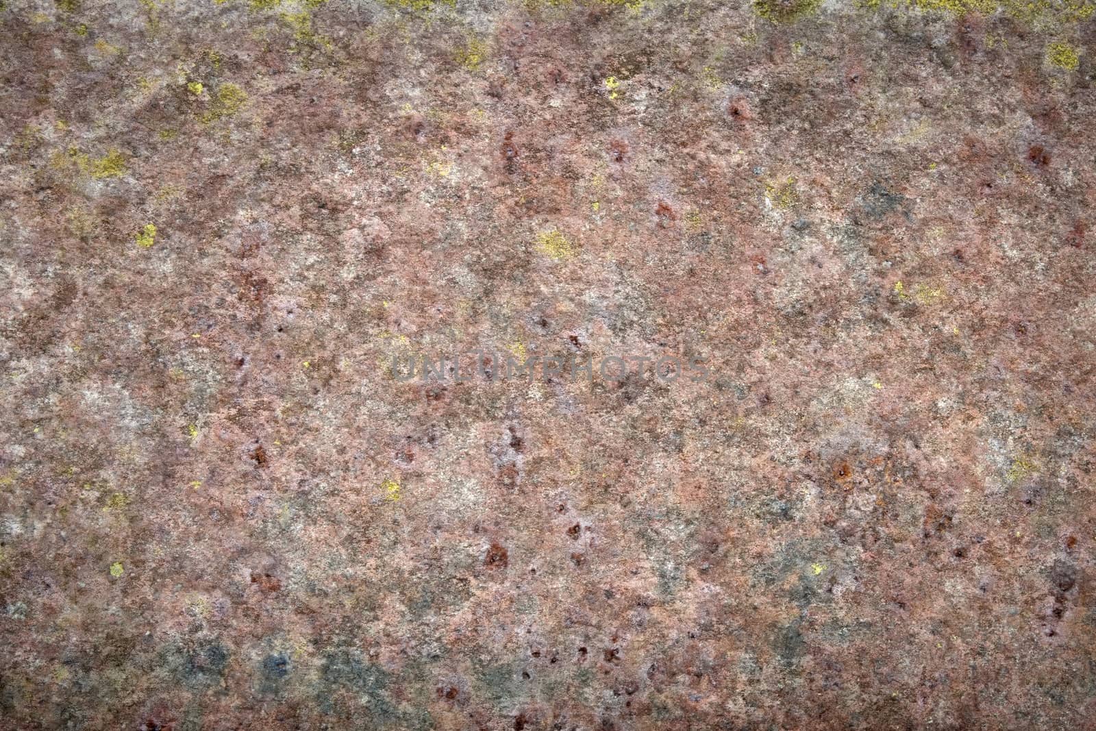 stone texture lichen by magann