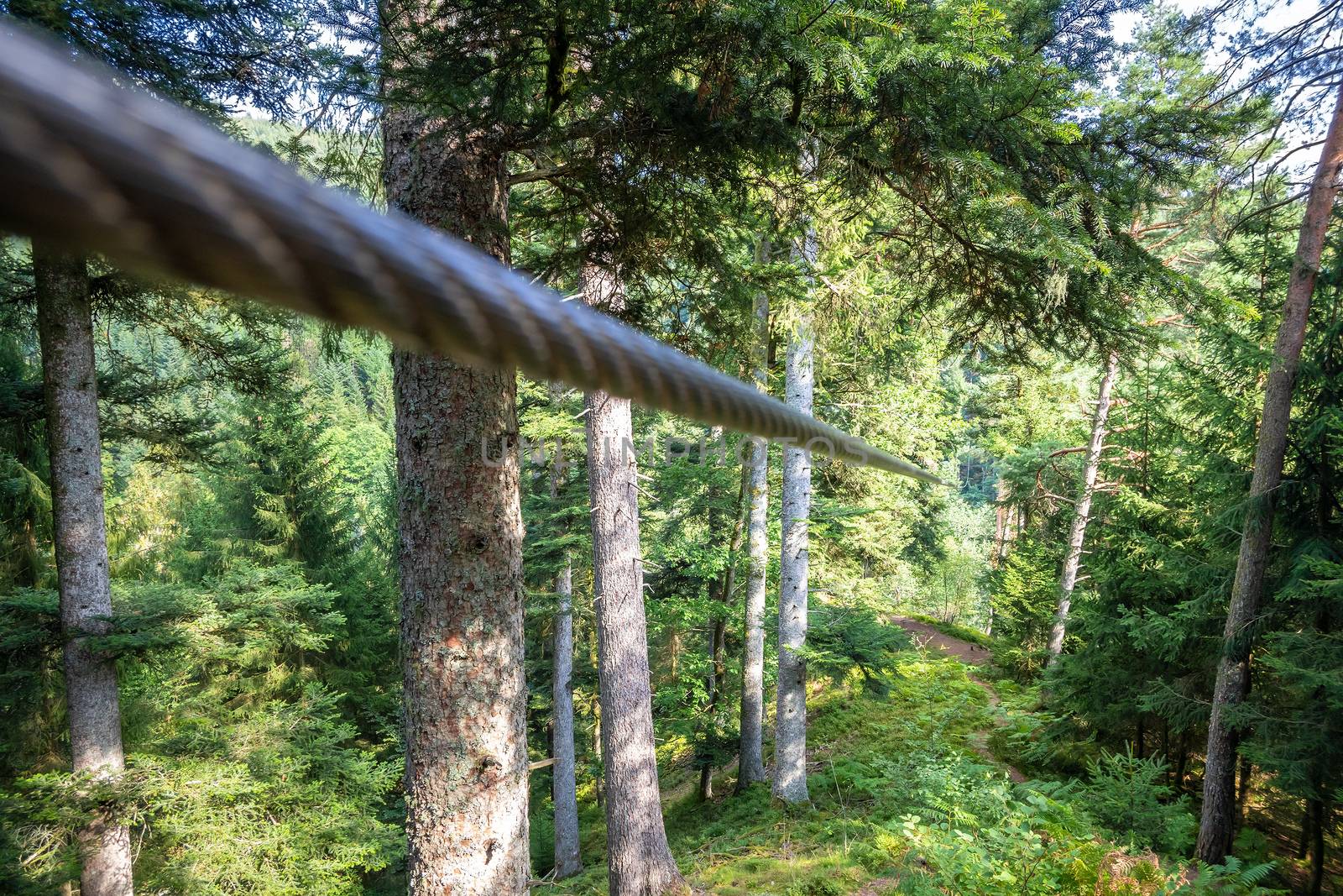 zipline in the black forest germany by magann