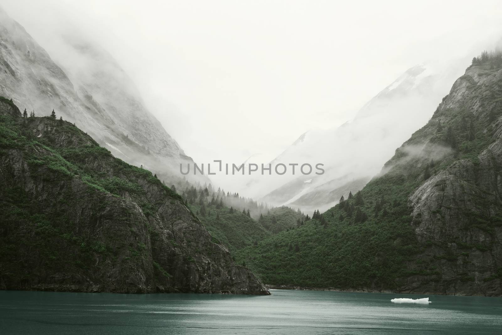 Inside Passage - Tracy Arm Landscape, Alaska by dani3315