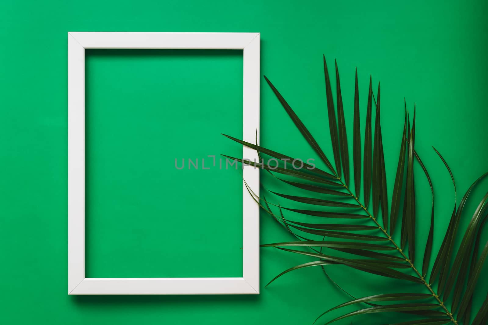 Branches of green palm leaves on green background with white photo frame. Ecology and Summer Frame Concept by Slast20