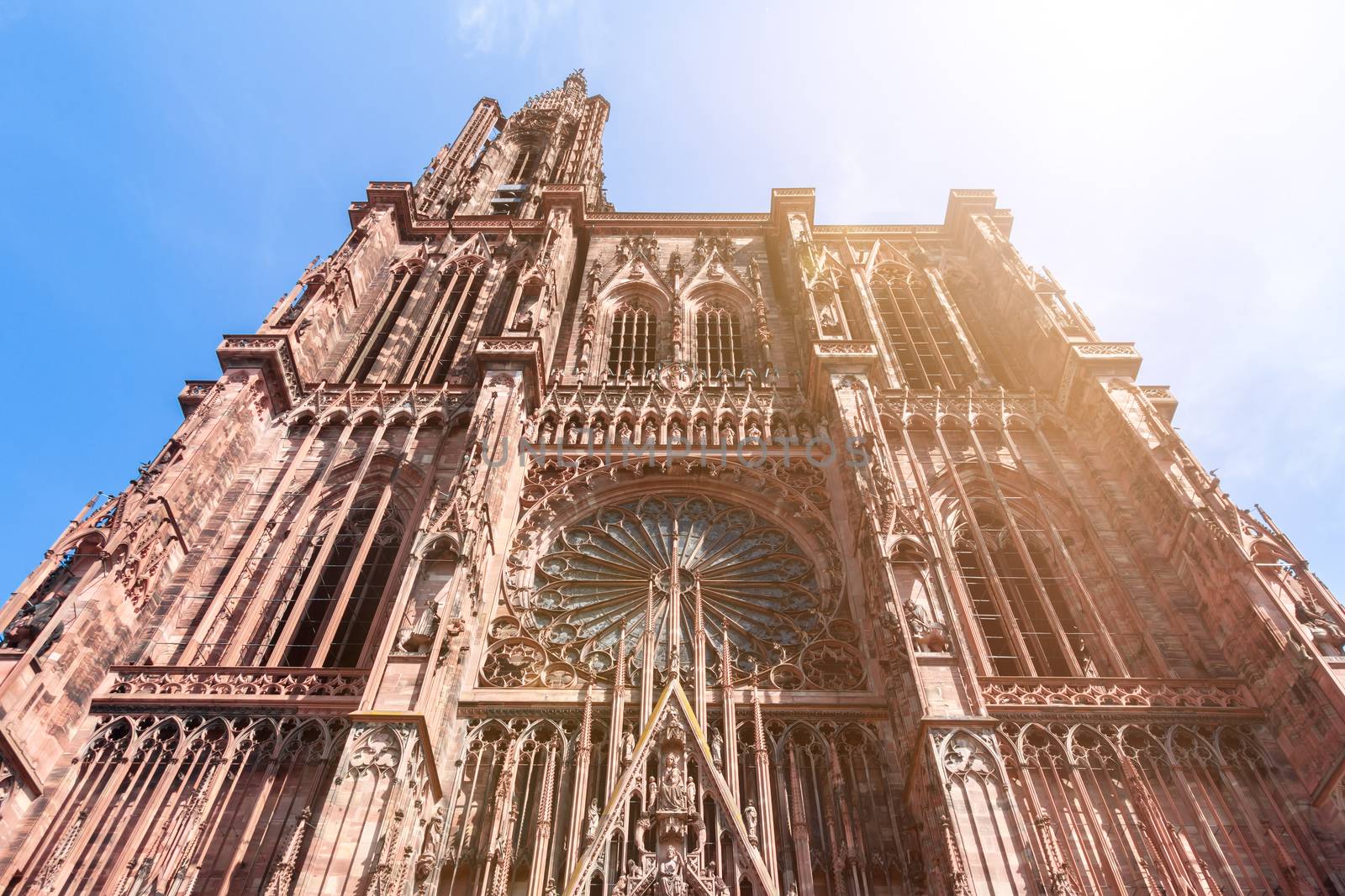 Cathedral of Our Lady at Strasbourg by magann