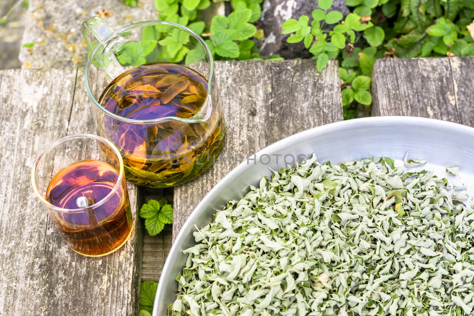 A verbena tea on old wooden planks