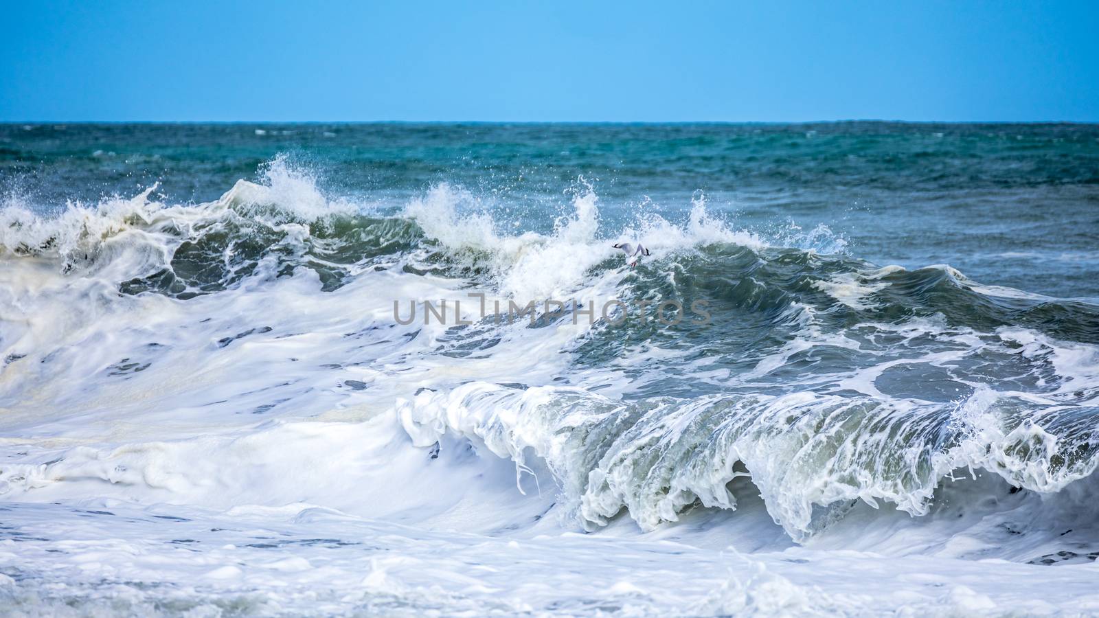 stormy ocean scenery background by magann