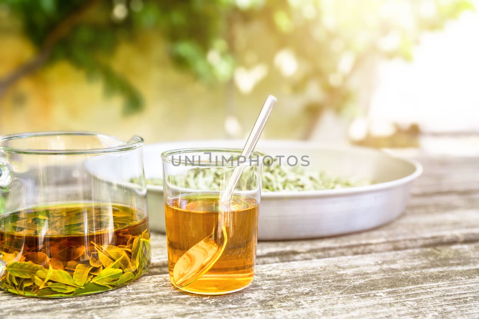 verbena tea on old wooden planks by magann