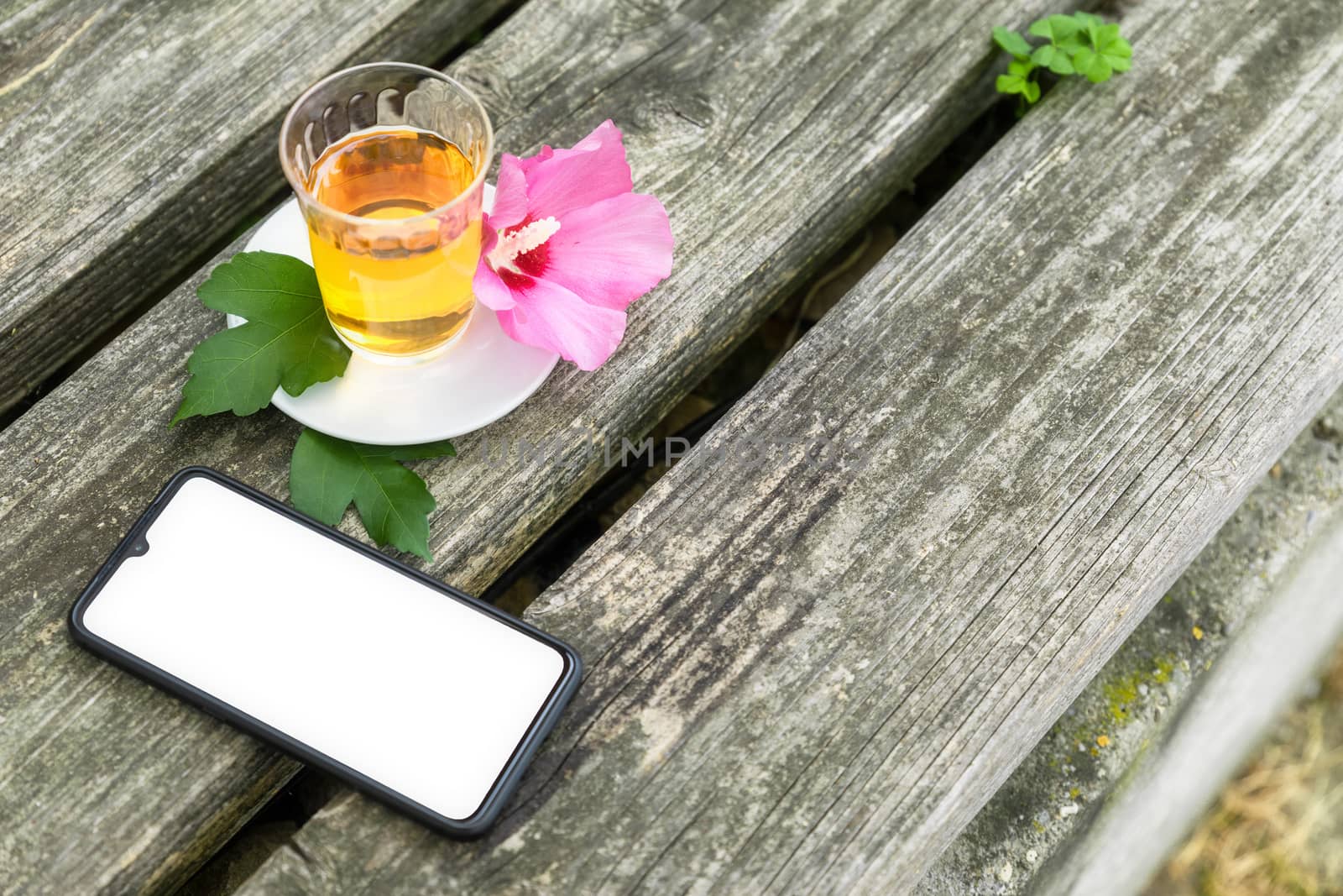 A mallow tea in a glass with smartphone on old wooden background