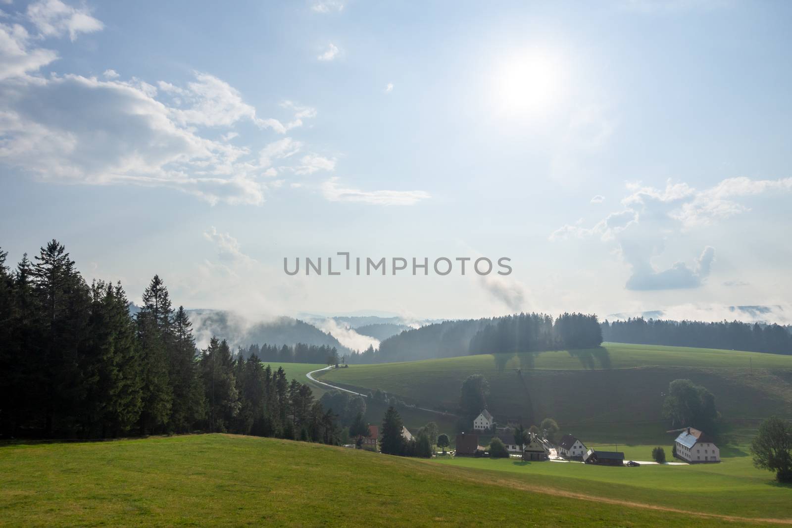 misty landscape with trees by magann