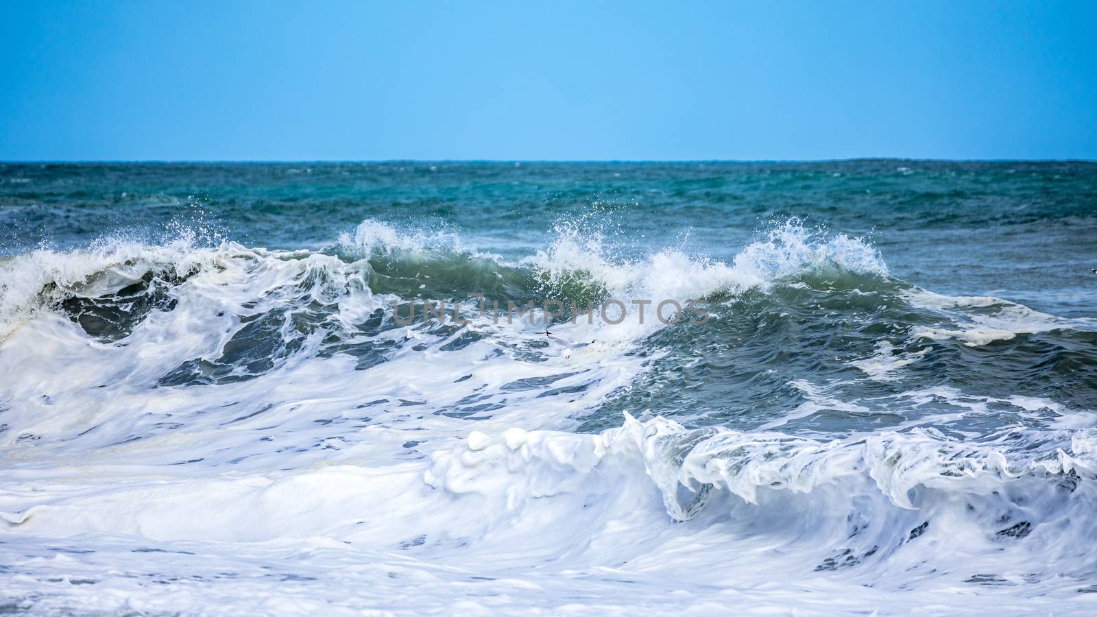 stormy ocean scenery background by magann