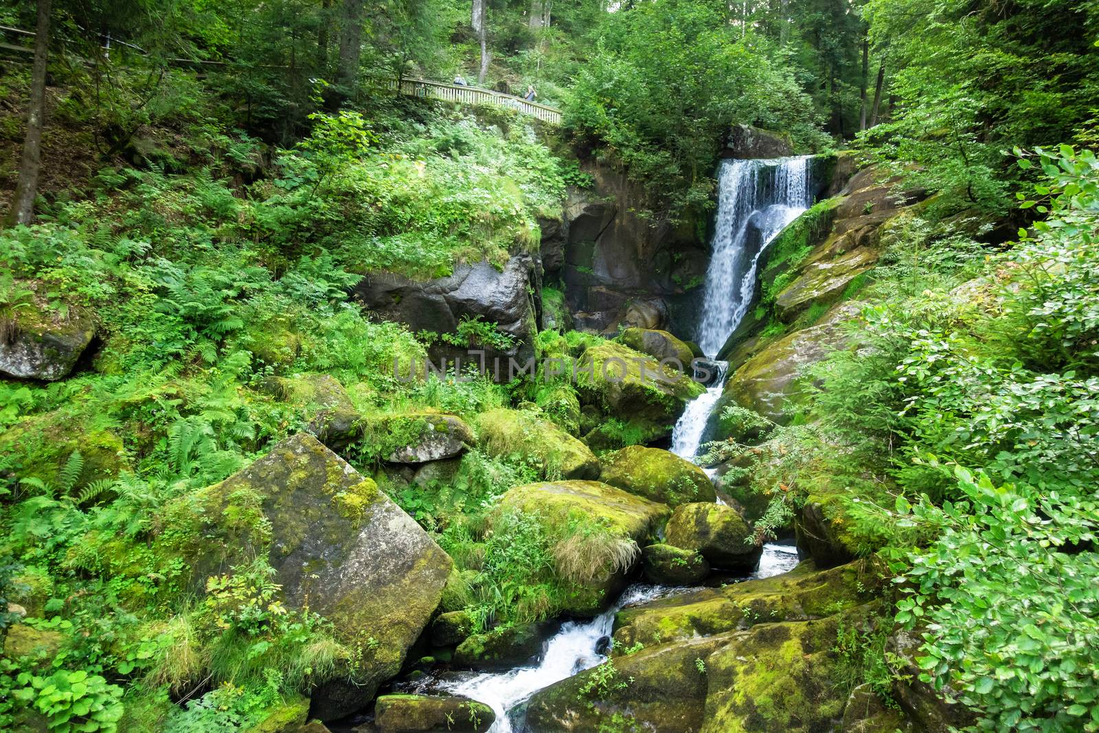 waterfall at Triberg in the black forest area Germany by magann
