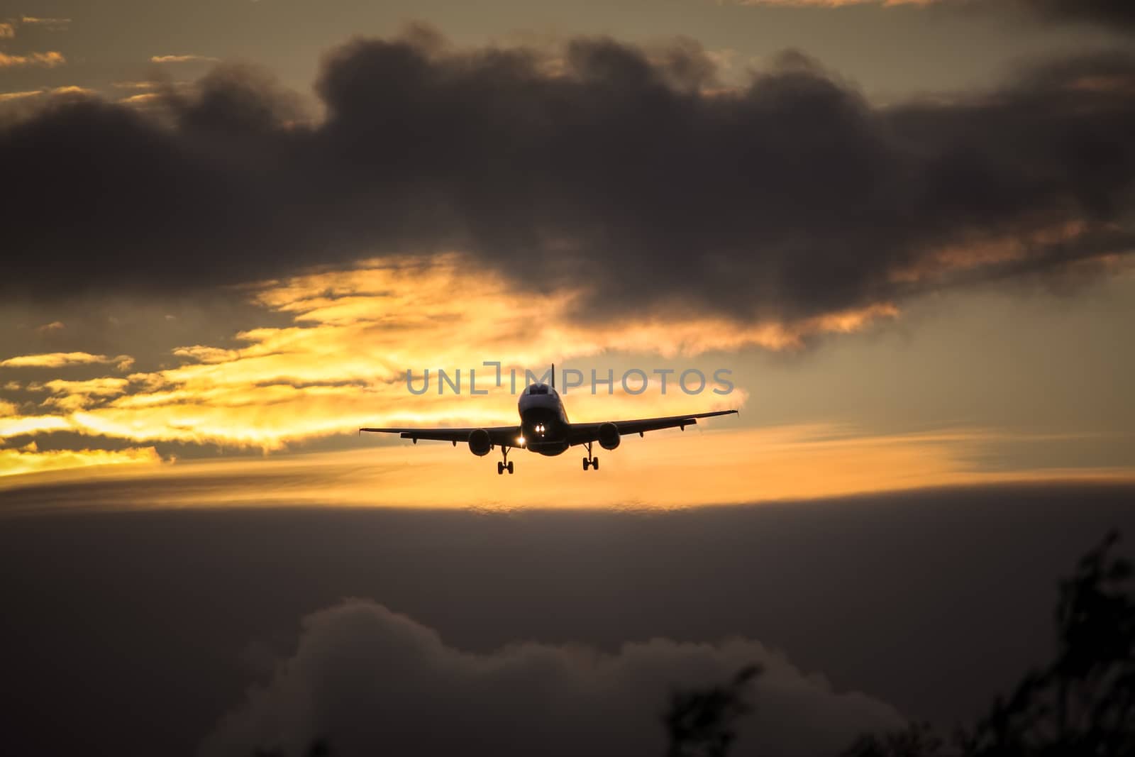 air plane in sunset sky by magann