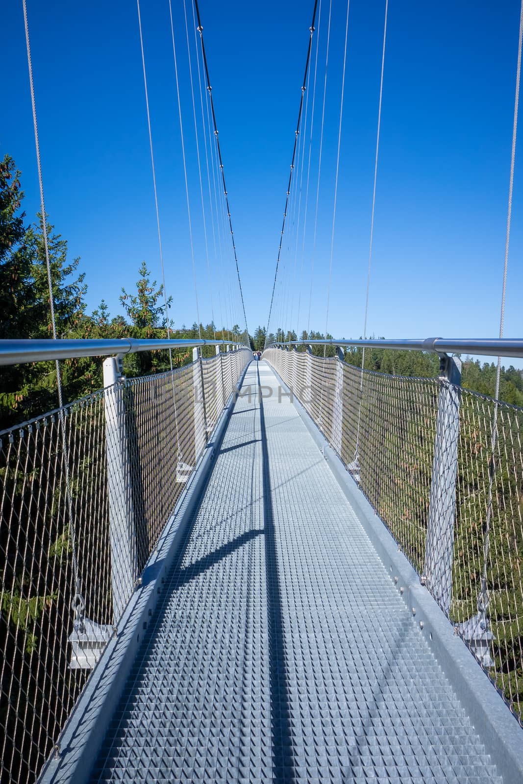 cable bridge at Bad Wildbad south Germany by magann