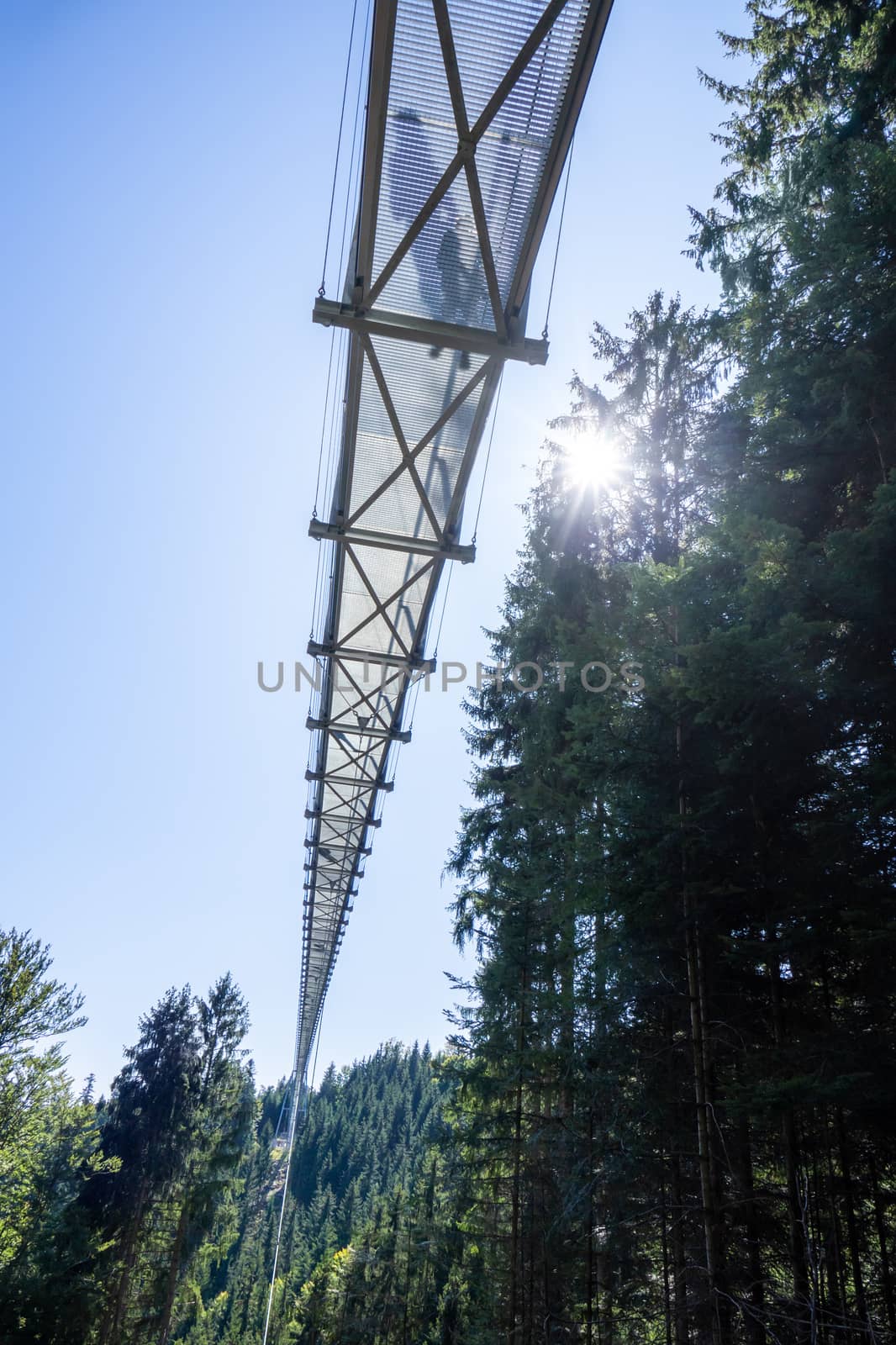 cable bridge at Bad Wildbad south Germany by magann
