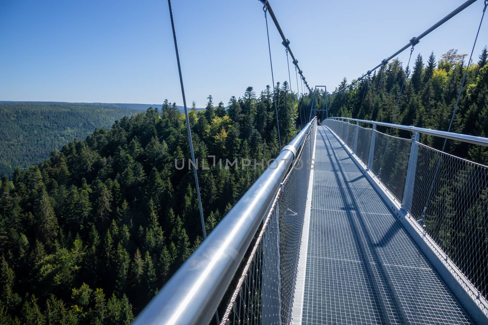 cable bridge at Bad Wildbad south Germany by magann