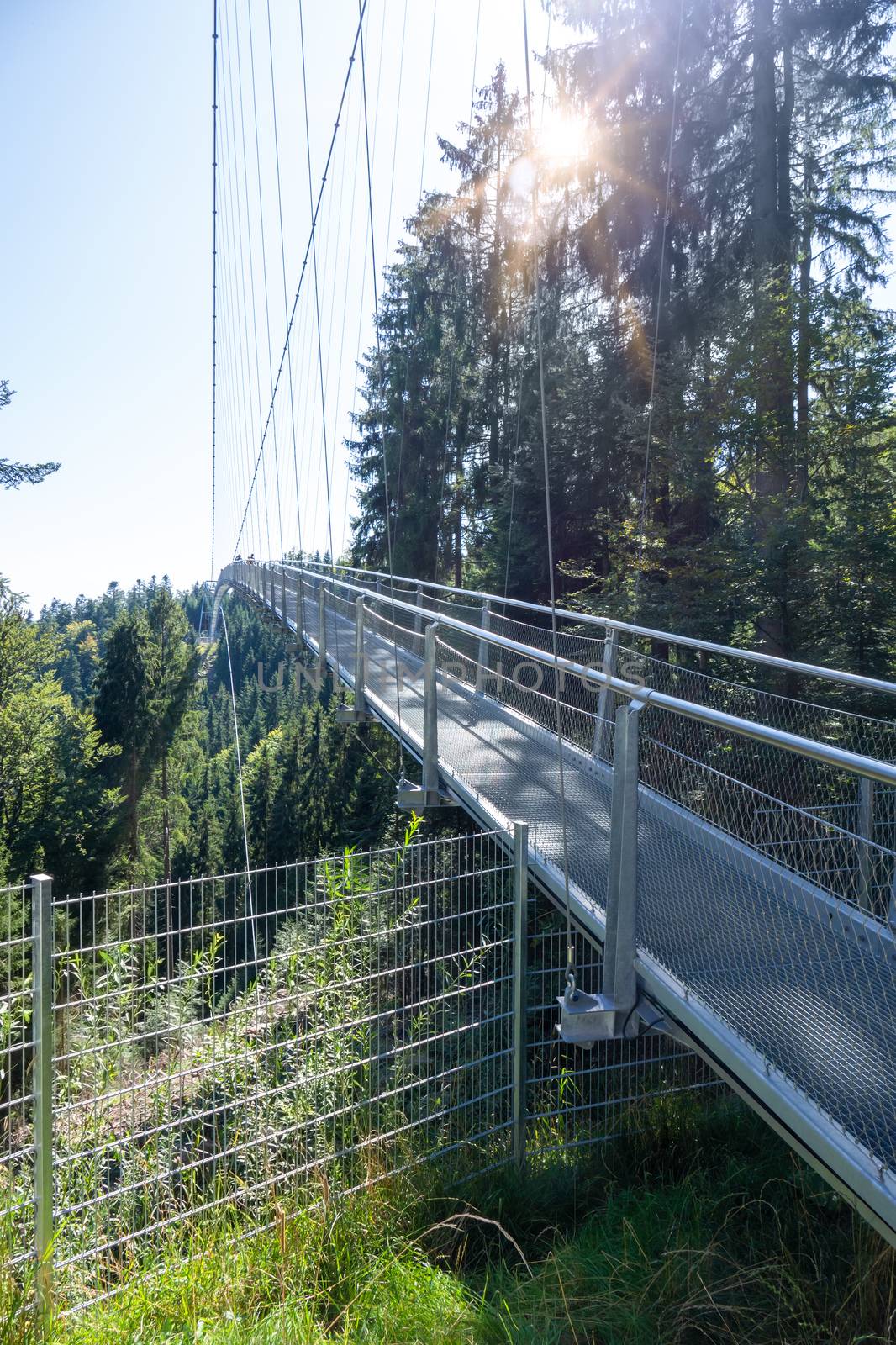 An image of the cable bridge at Bad Wildbad south Germany