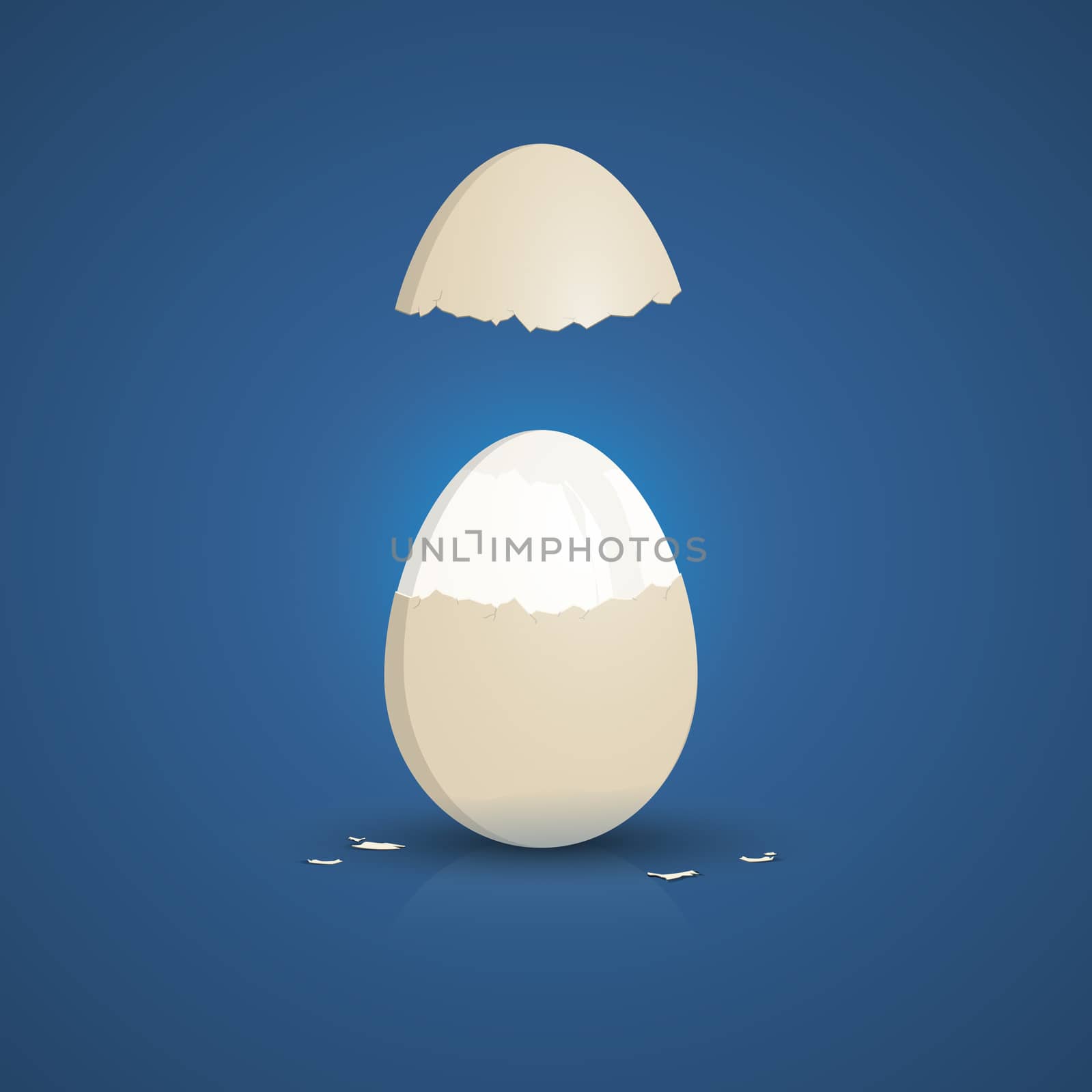 An illustration of a typical cooked white egg
