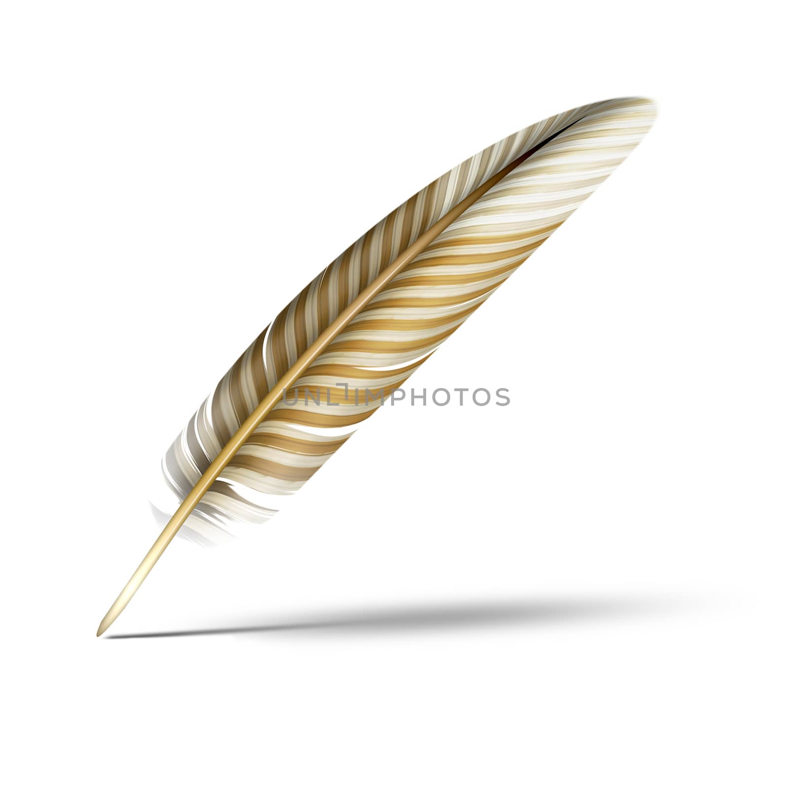 An illustration of a beautiful feather with shadow on white